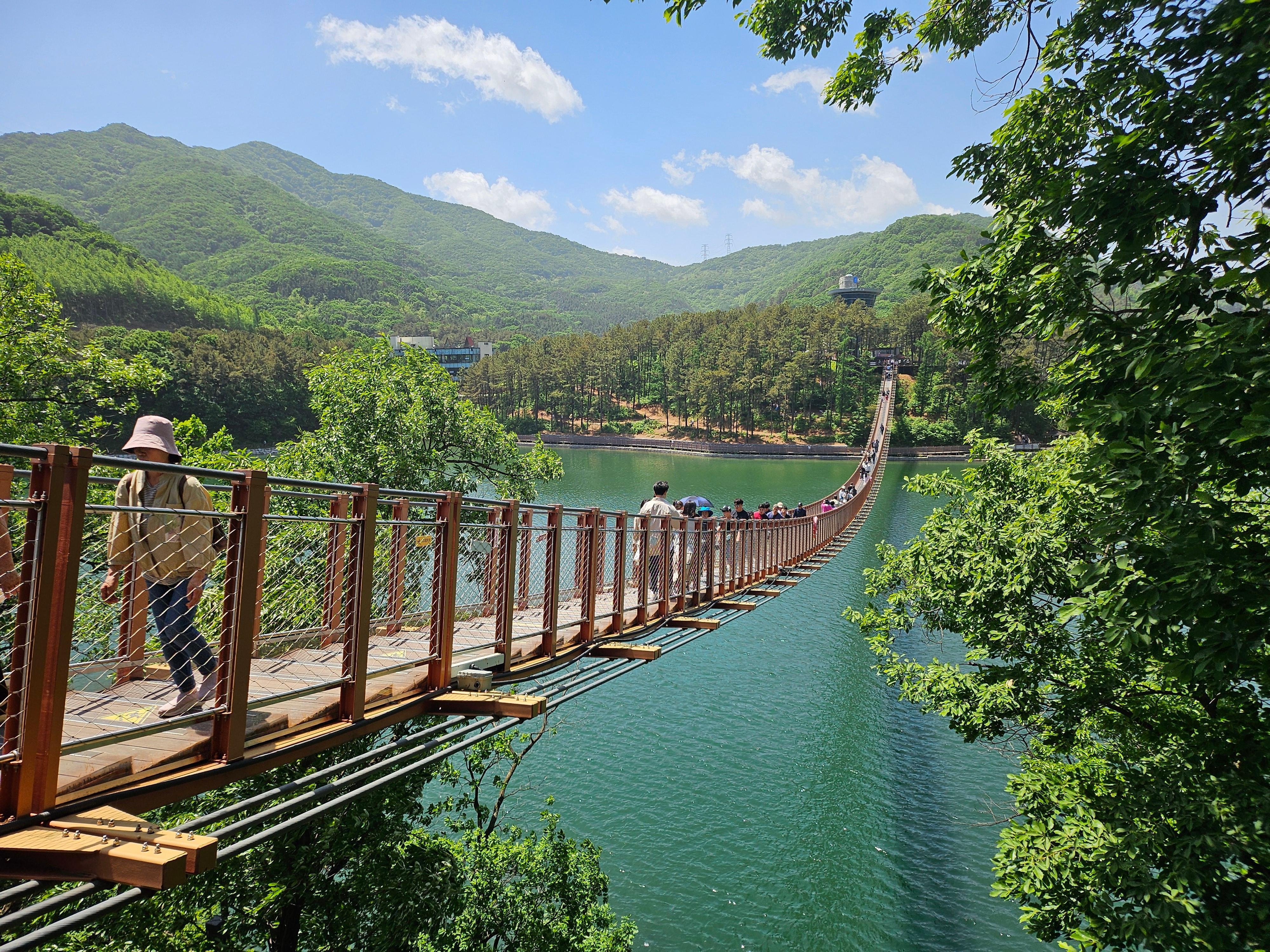 Seoul DMZ Day Tour: 3rd Tunnel, Dora Observatory & North Korean Defector Encounter