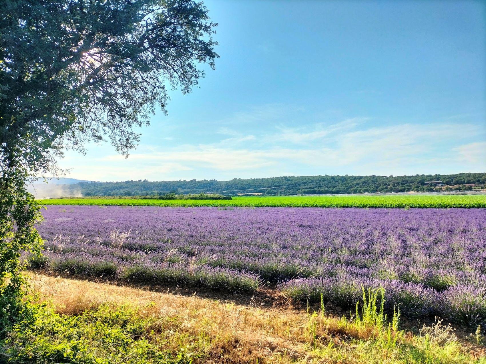 Gorges du Verdon in Provence — Verdon Gorge tour photo 19