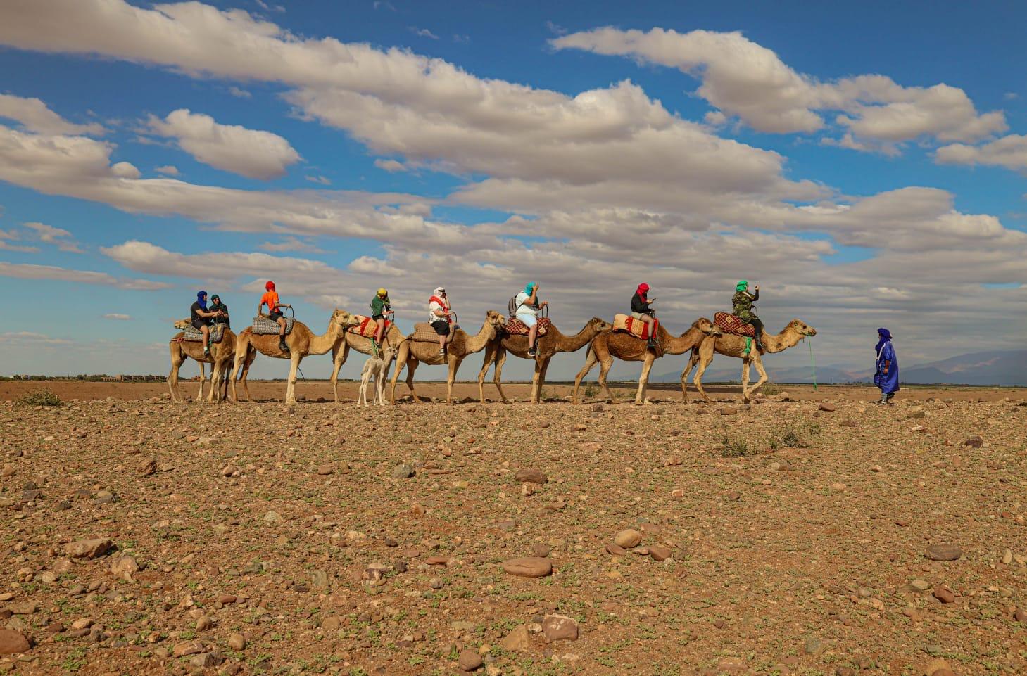 Agafay Desert Sunset, Camel Ride & Berber Dinner Show from Marrakech