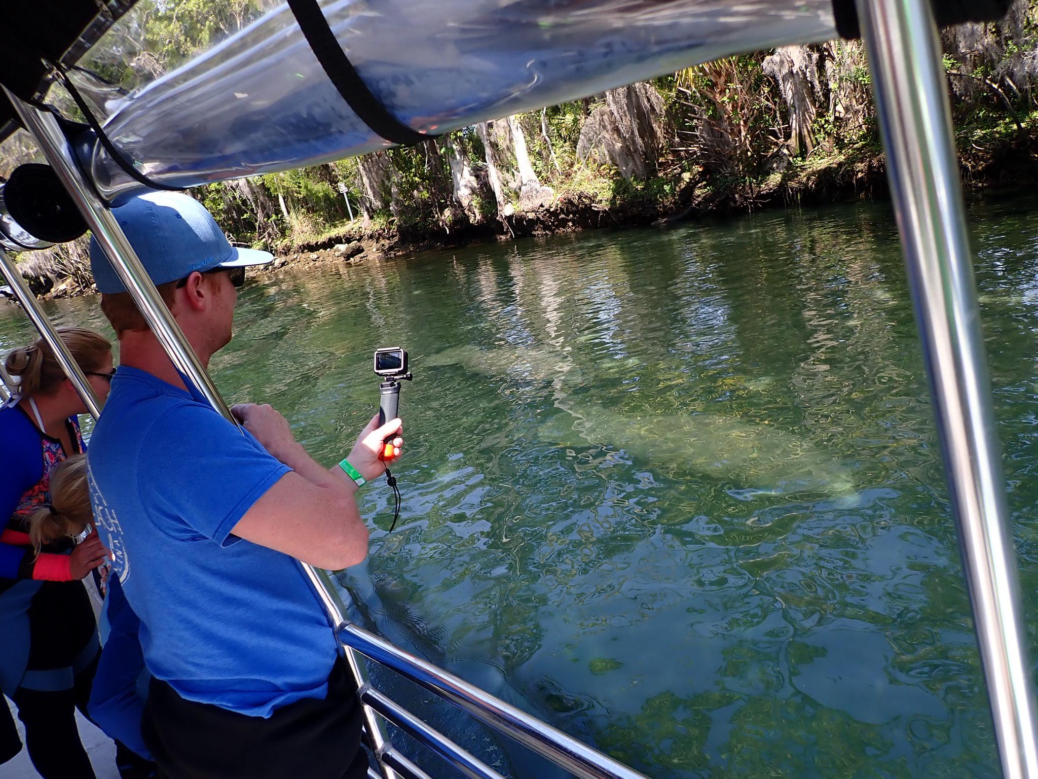 Crystal River Manatee Viewing Cruise
