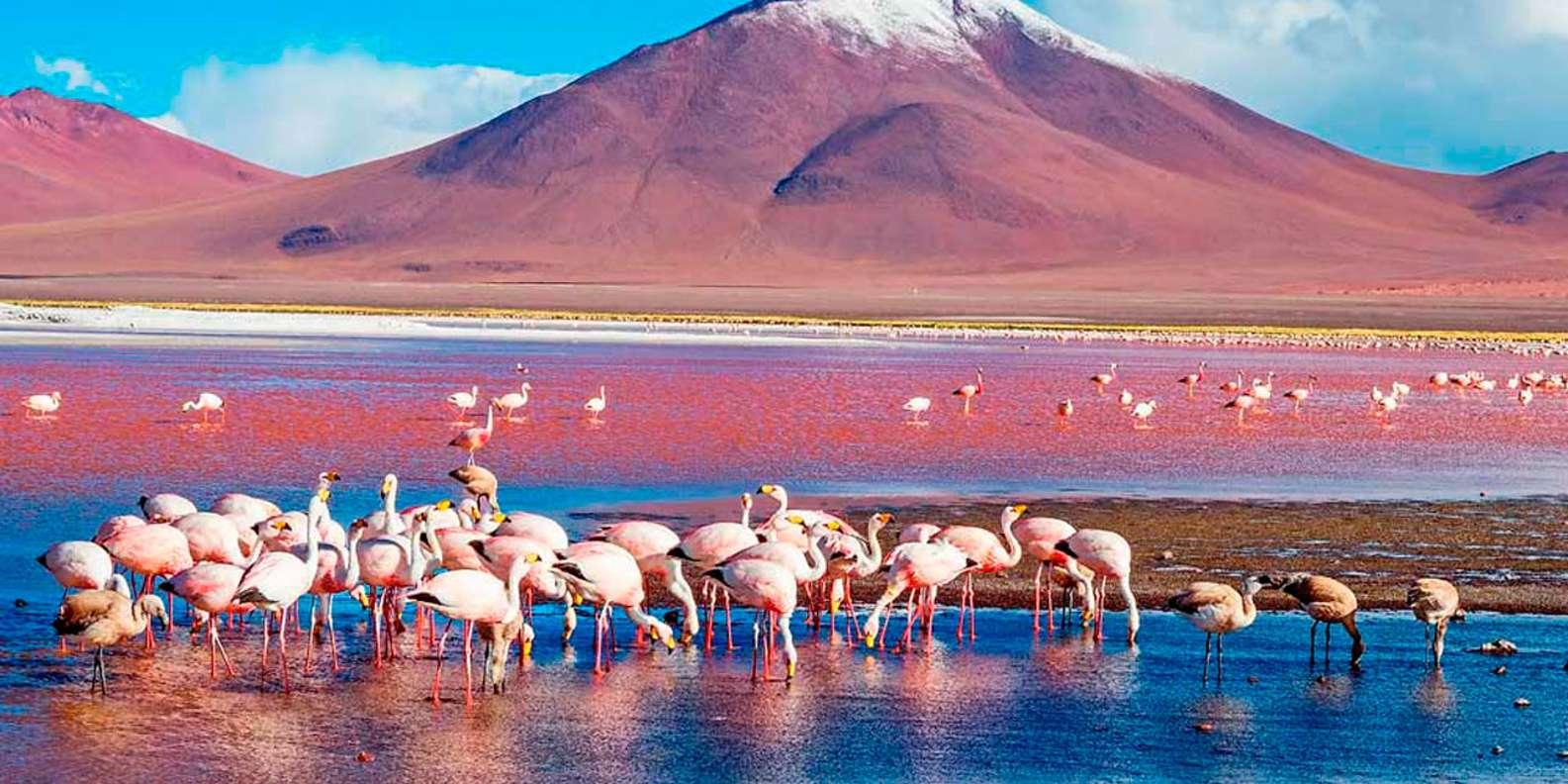 Ultimate 16-Day Peru & Bolivia Adventure