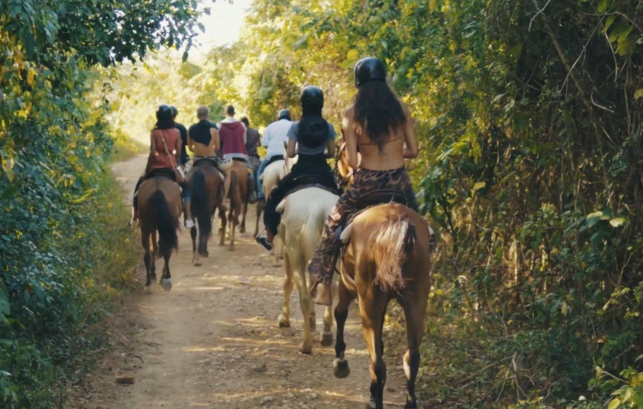 Macao Beach Horseback Riding Adventure