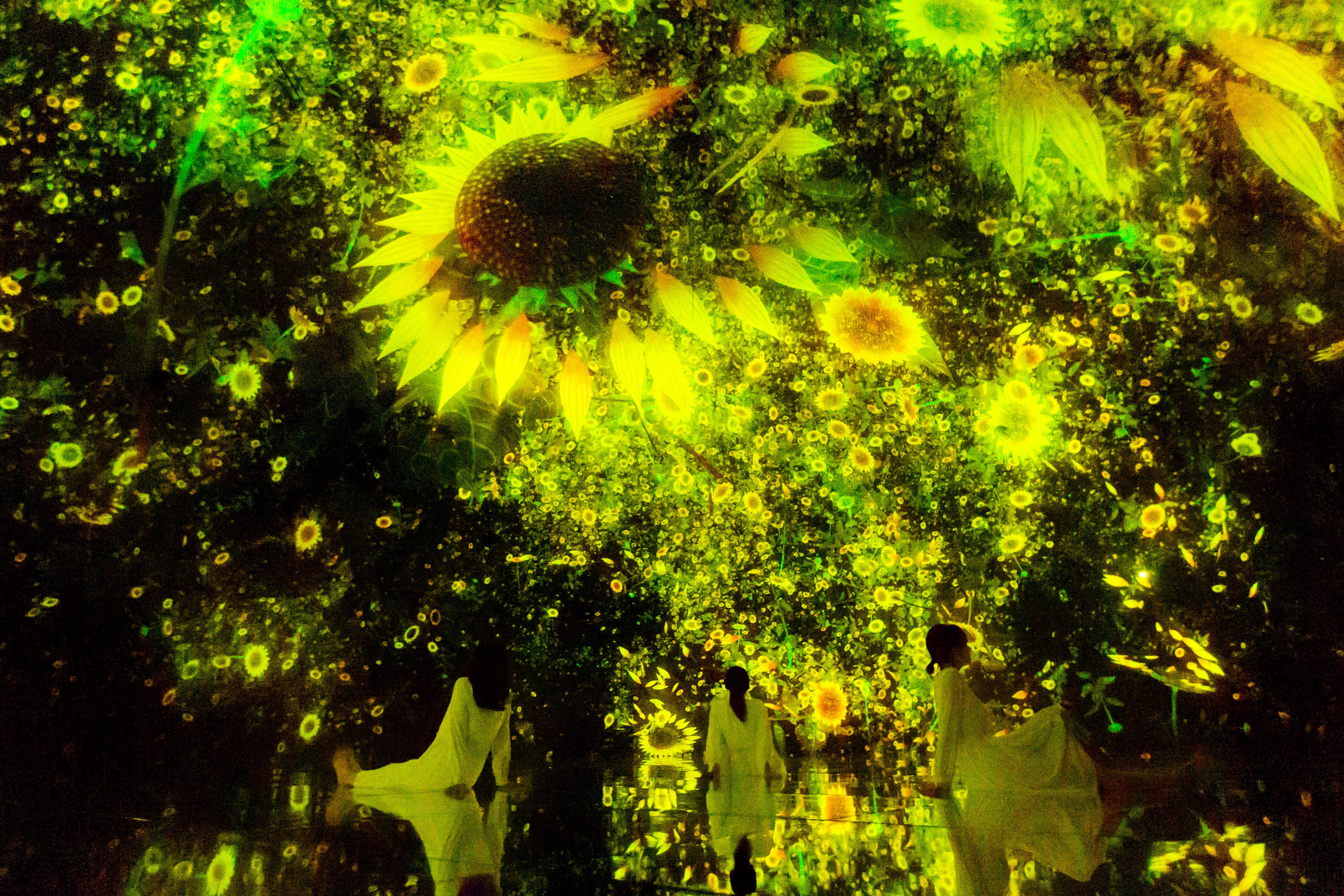 teamLab Planets TOKYO Digital Art Museum Entry