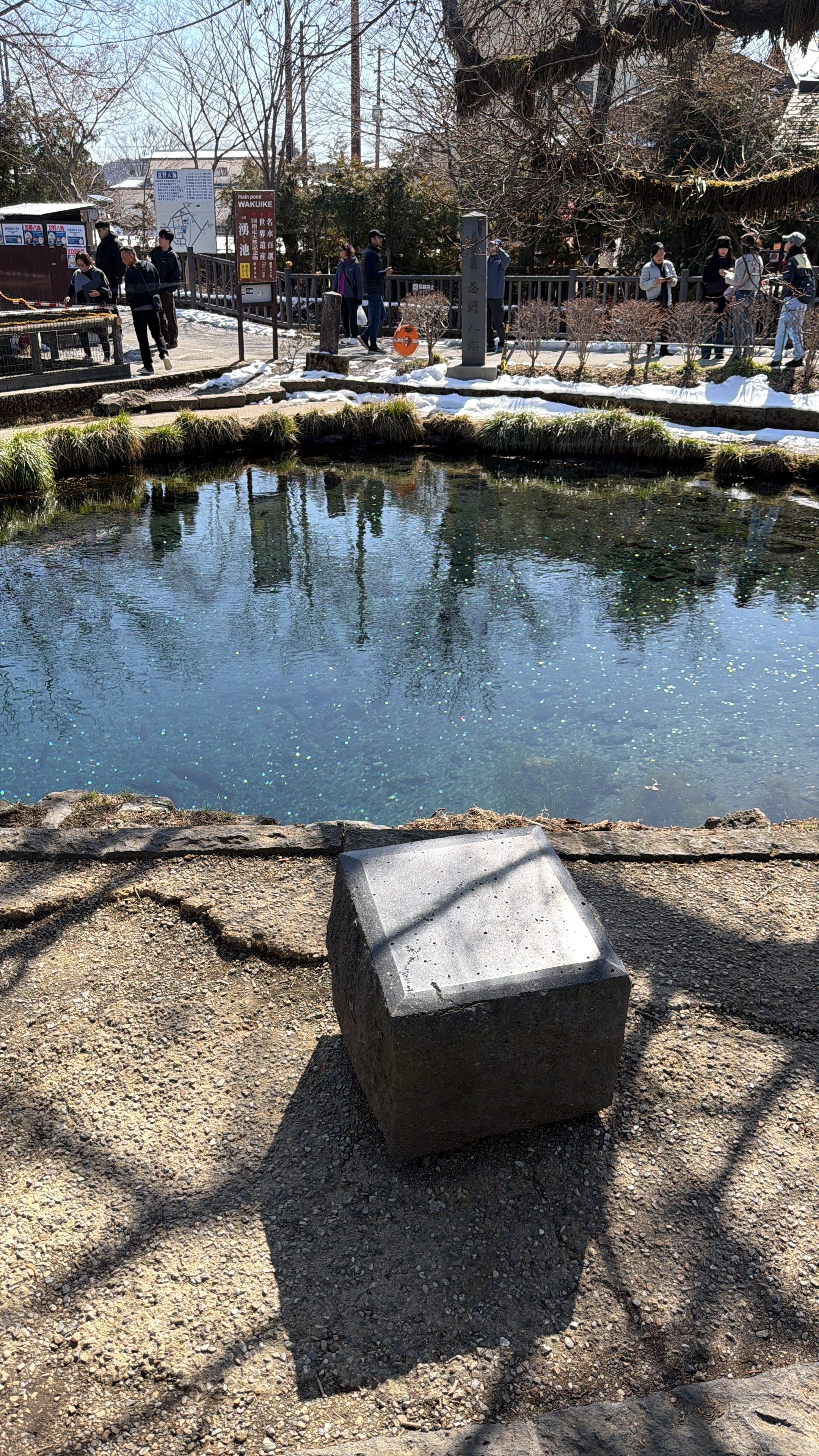 Tokyo to Mt. Fuji & Hakone: Private Full-Day Tour with English Driver