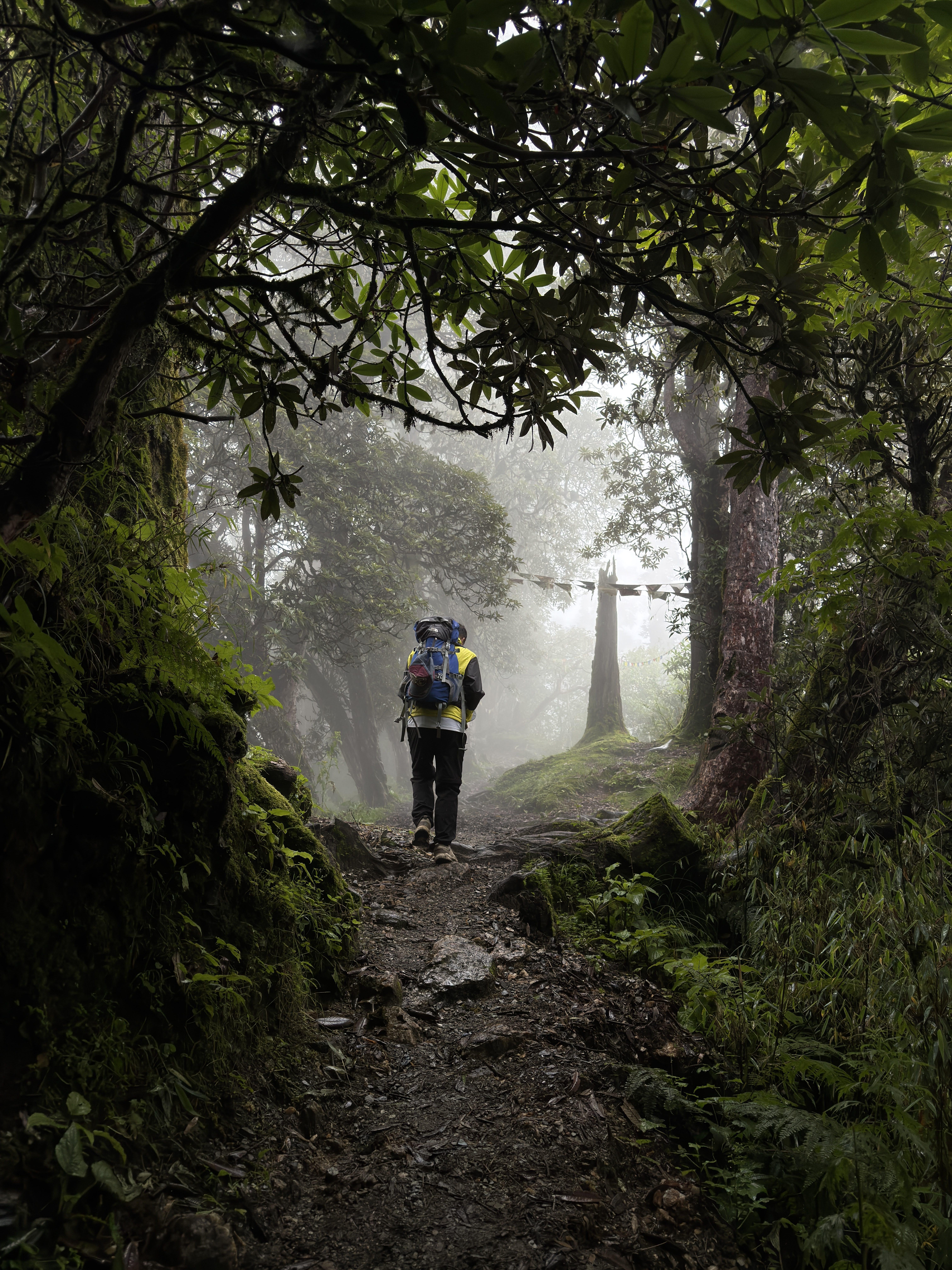 Pokhara Forest Hike: Shanti Stupa & Fewa Lake Boat Crossing
