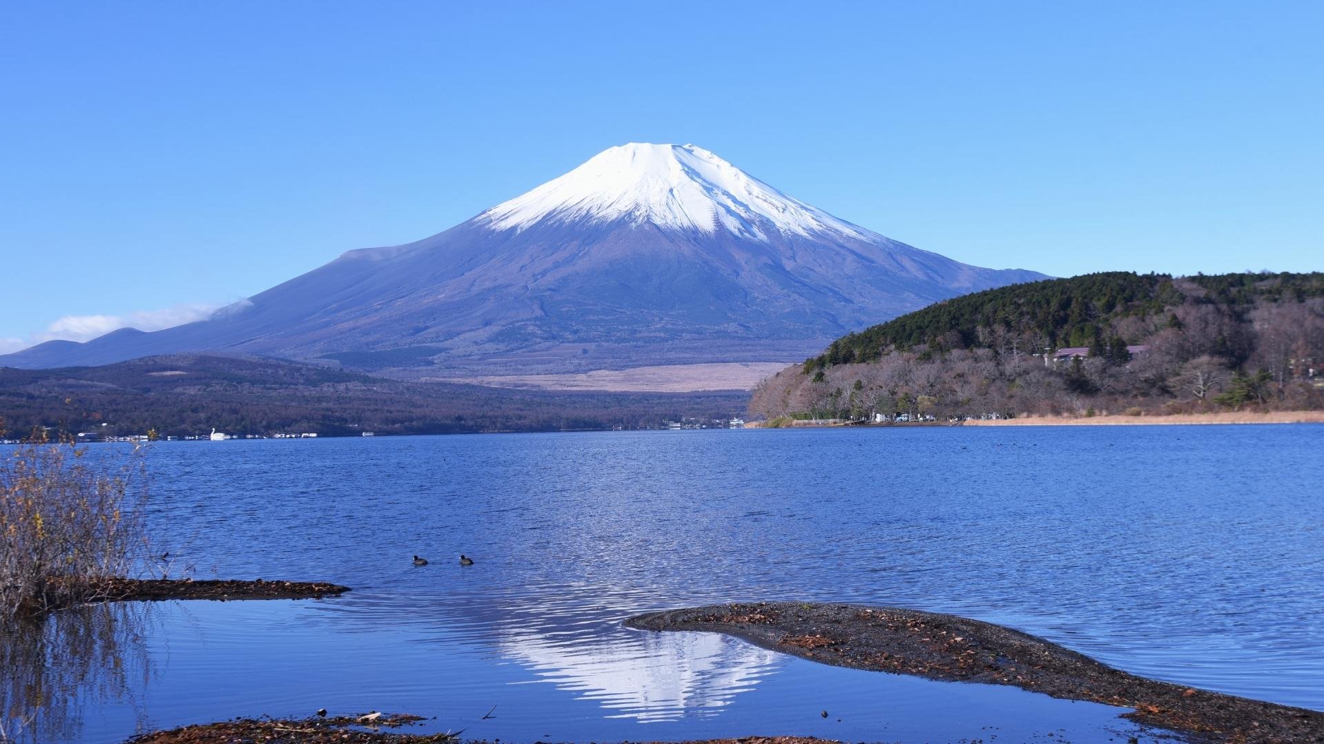 Mt. Fuji Iconic Views & Photography Day Trip from Tokyo