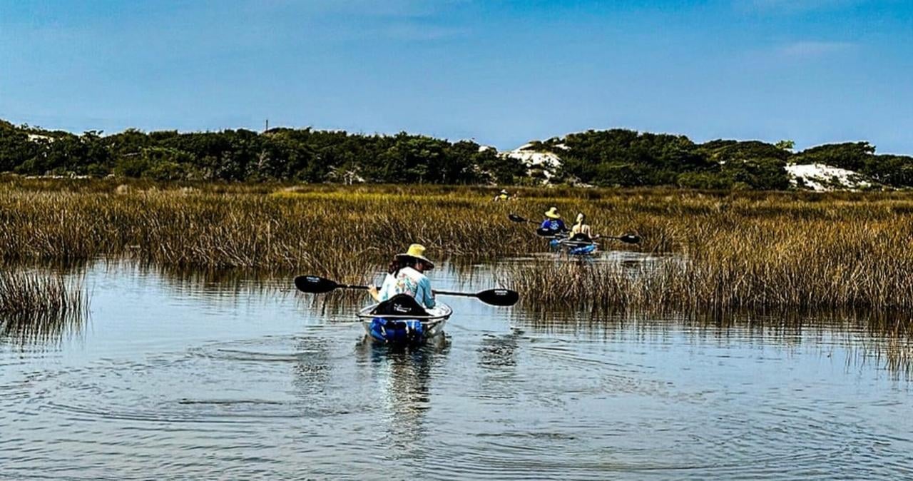 Clear Kayak Eco Adventure with Island Exploration