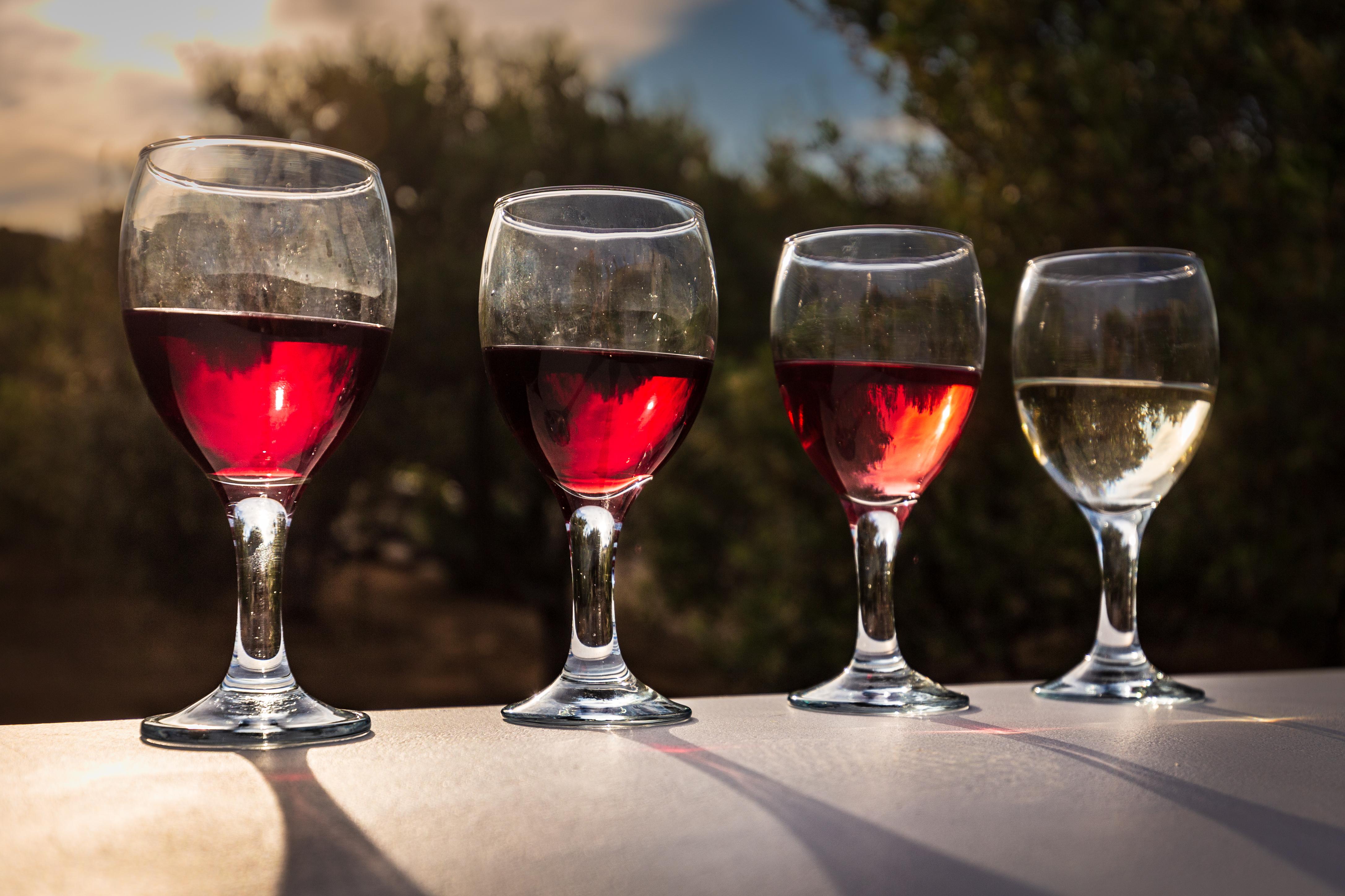 Mykonos Organic Vineyard Tour with Wine and Local Bites