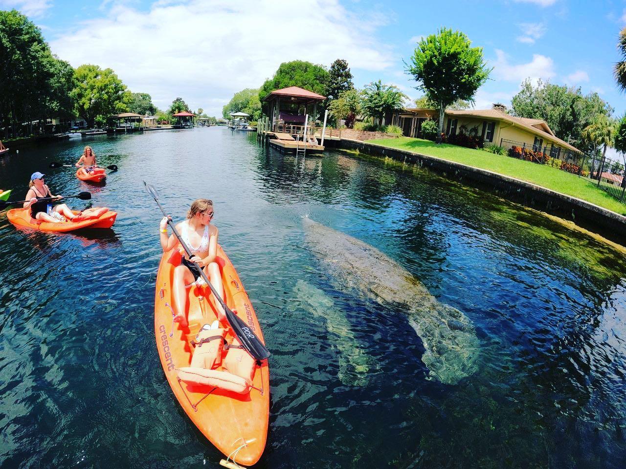 Crystal River Kayak Rental