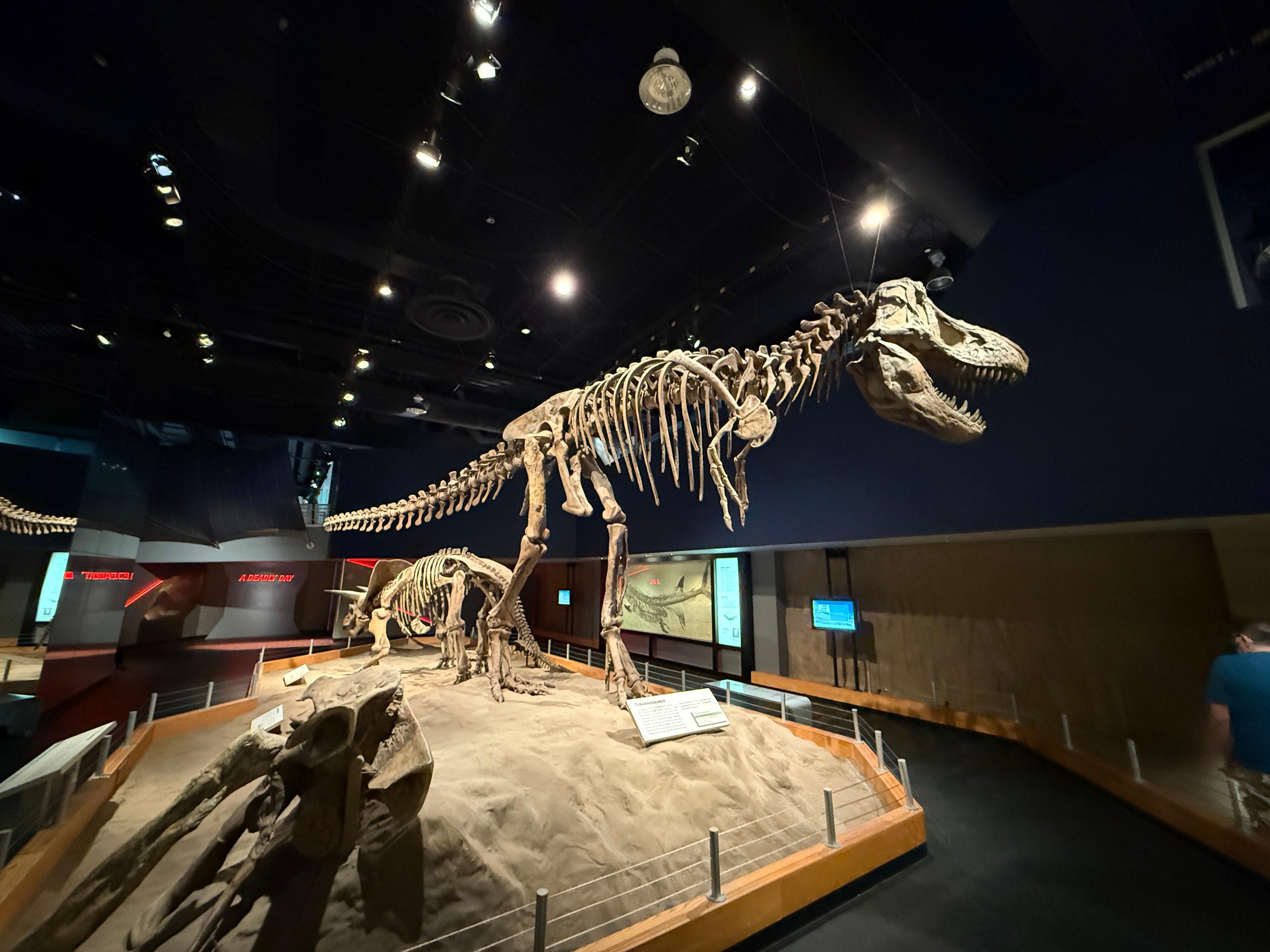 Drumheller Badlands Day Tour with Royal Tyrrell Museum