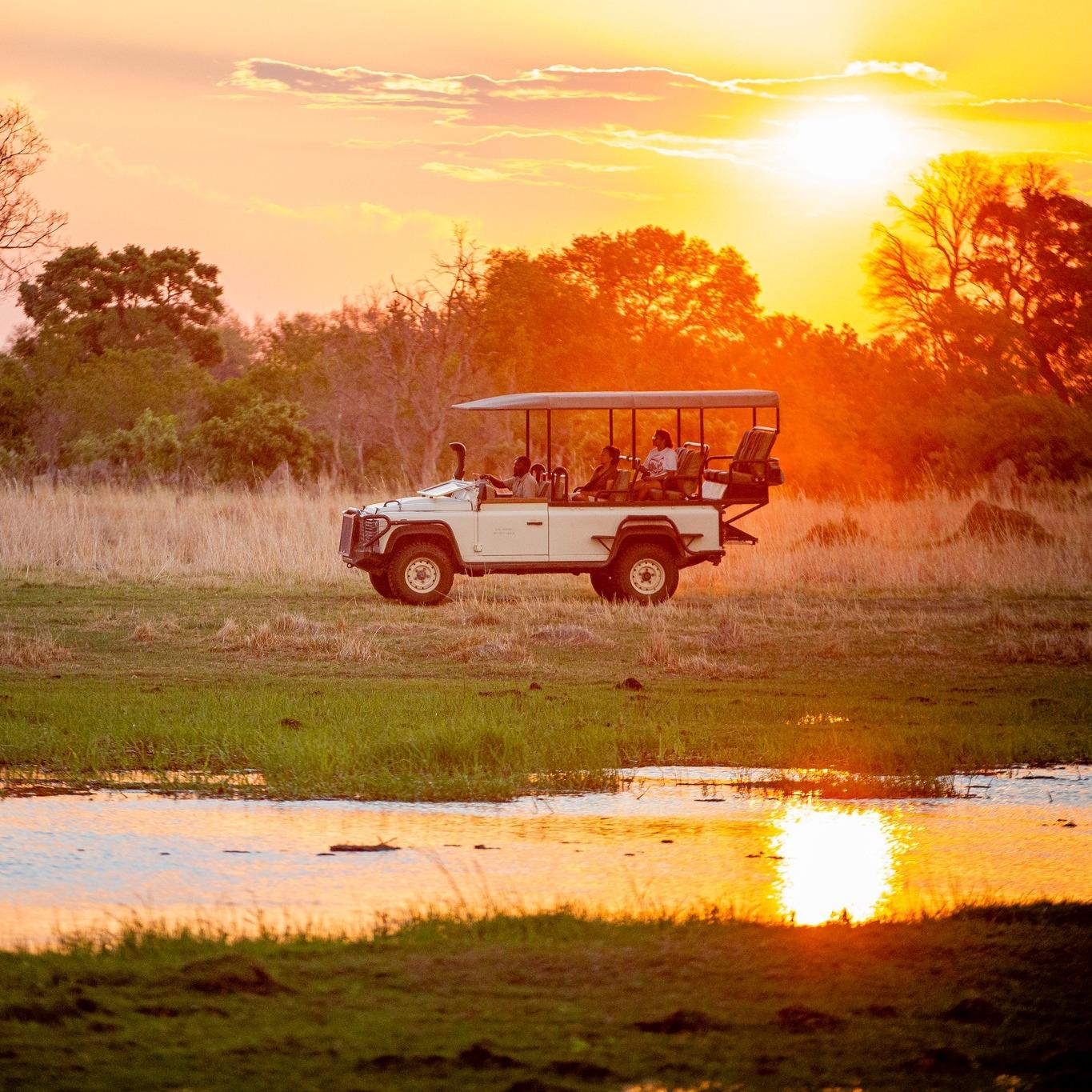 Chobe Forest Reserve Night Safari