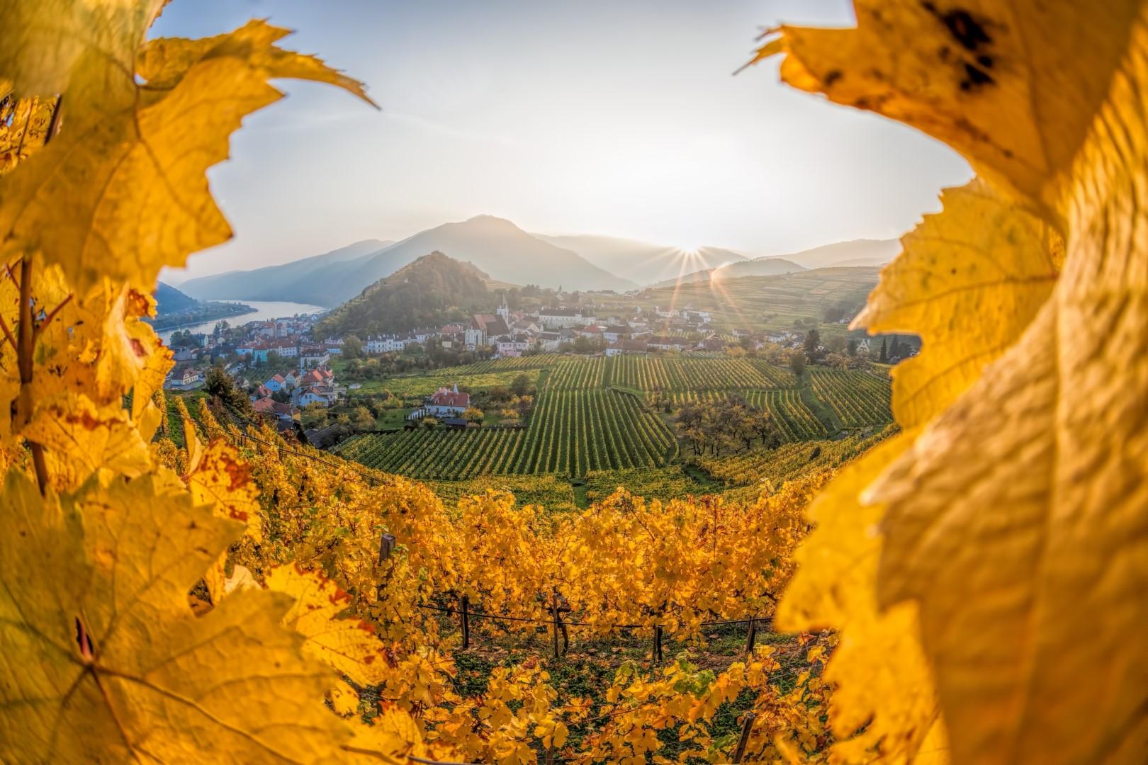 Wachau Valley, Melk Abbey & Hallstatt Full-Day Minivan Tour from Vienna