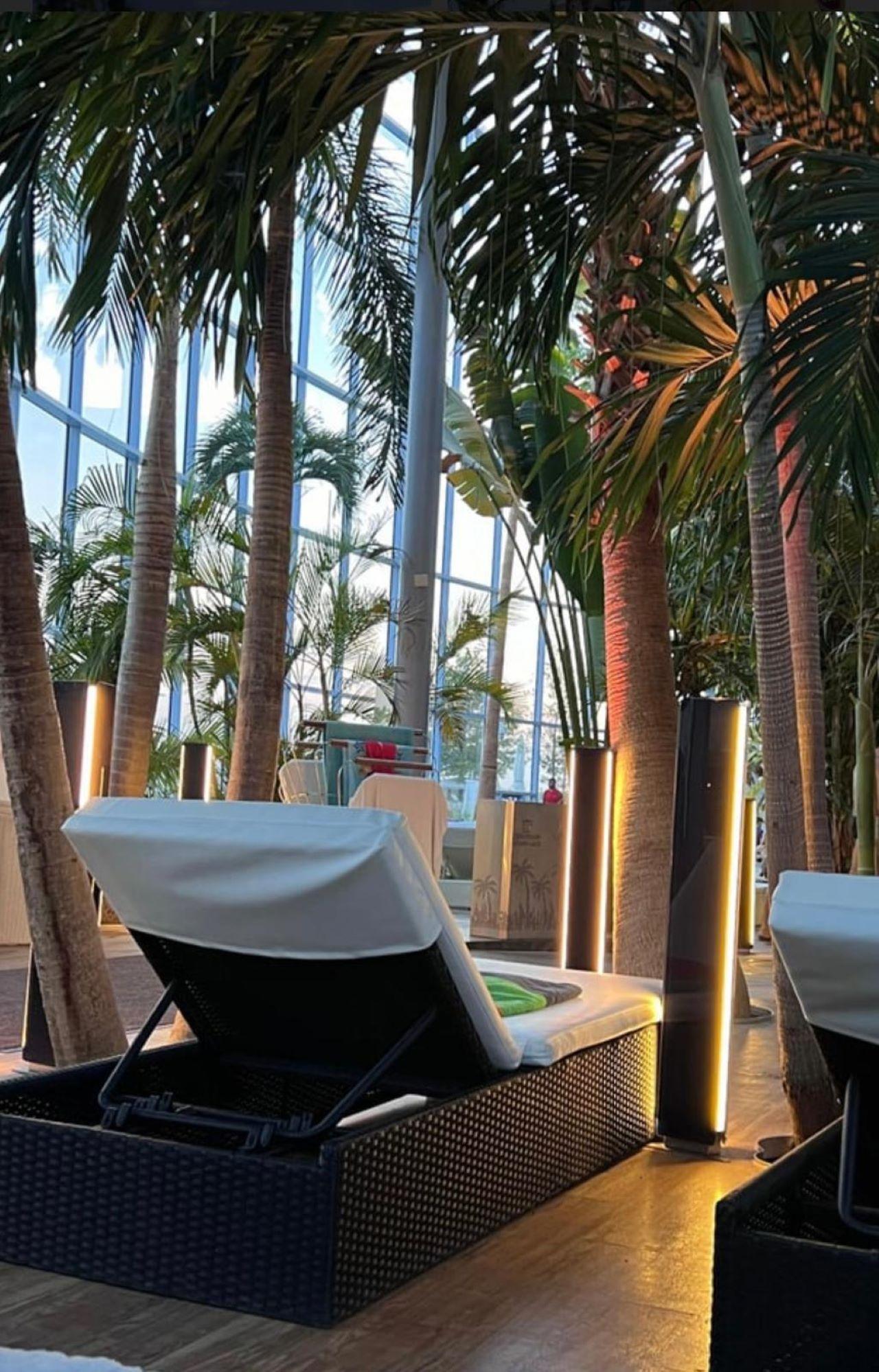 Bucharest Evening Spa Experience: Therme Night Show & Transfers