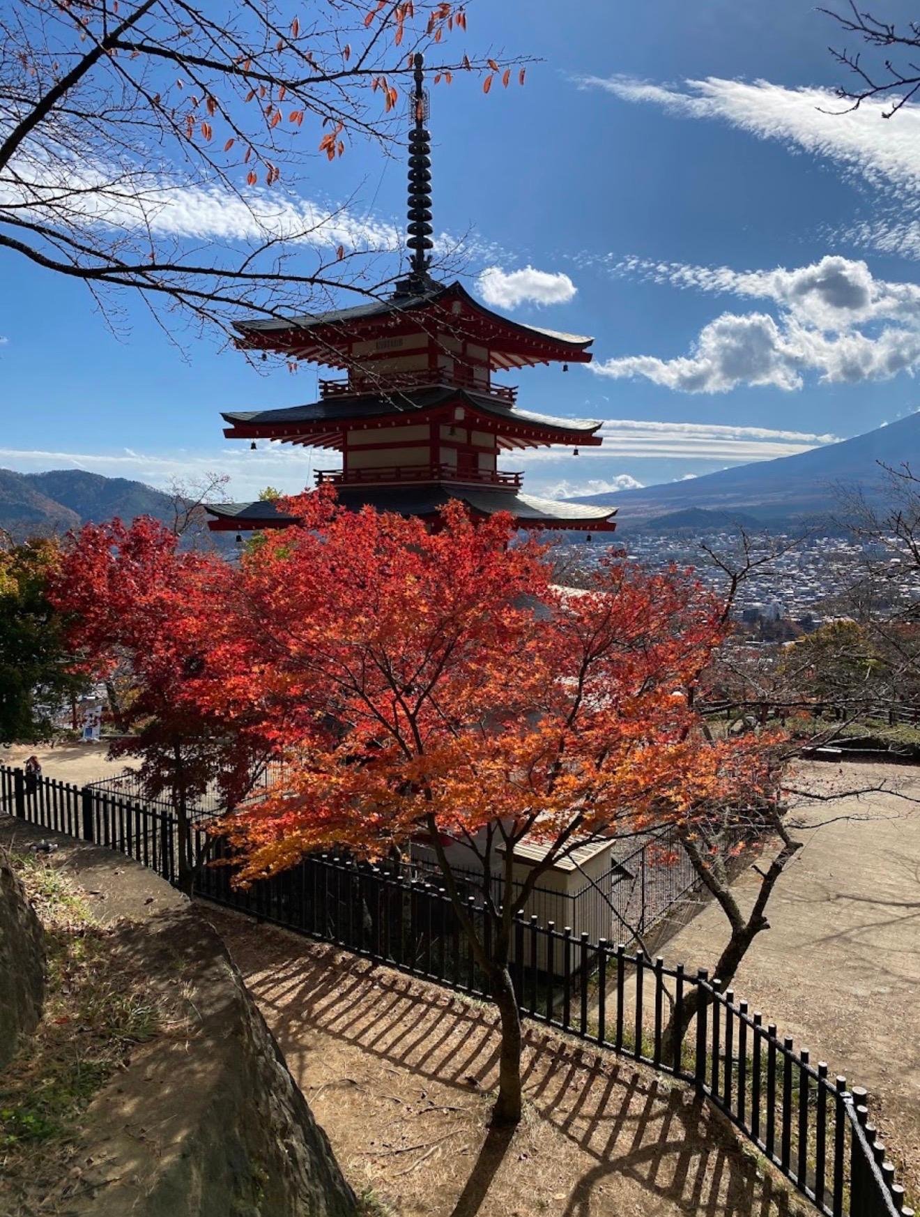 Customizable Mount Fuji Private Day Trip from Tokyo