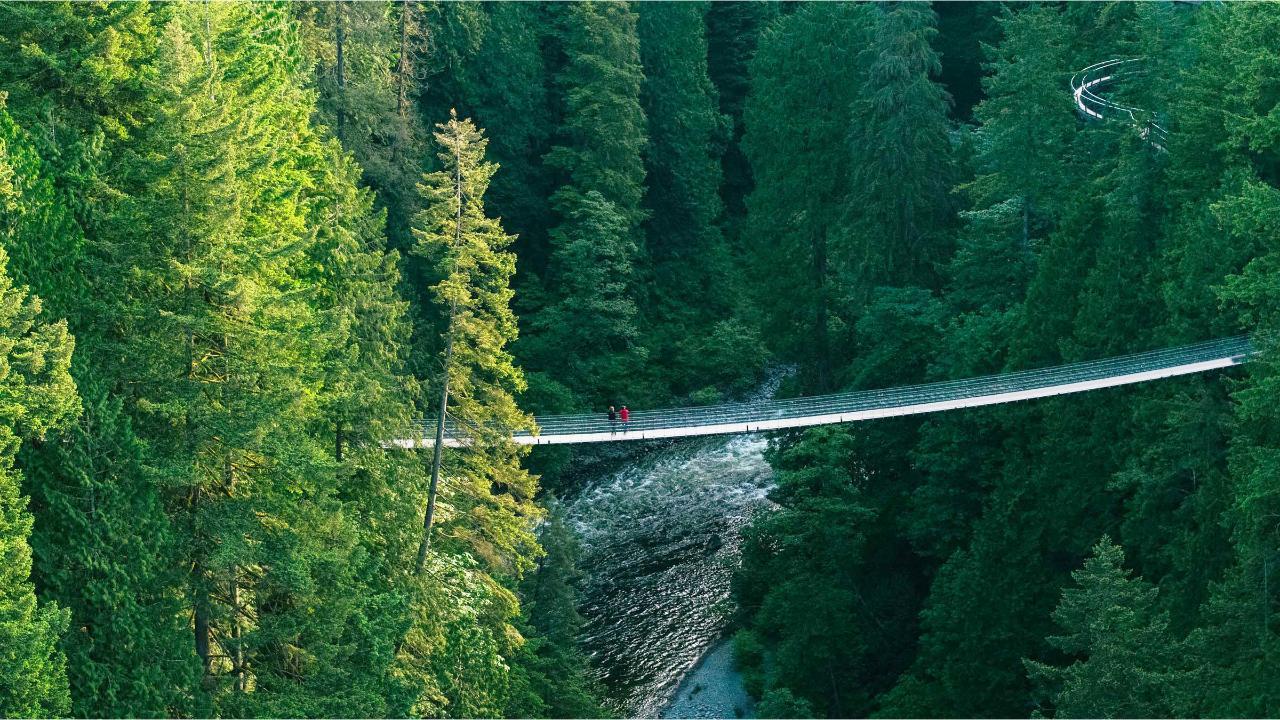 Capilano Suspension Bridge Park Entry