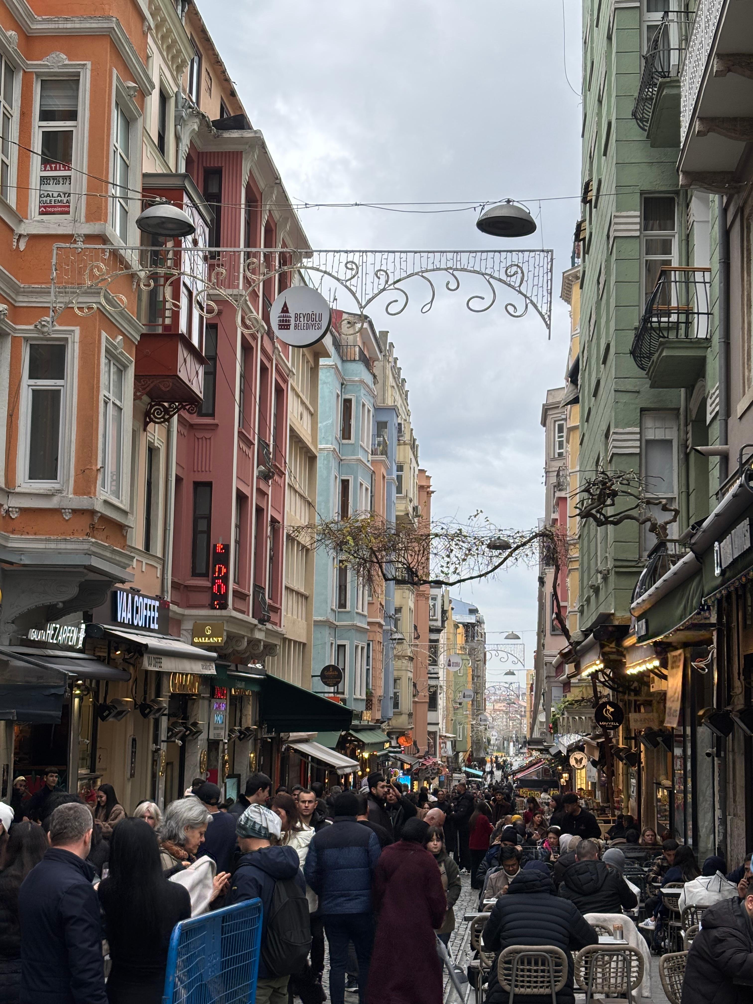 Istanbul Layover Private Sightseeing Tour