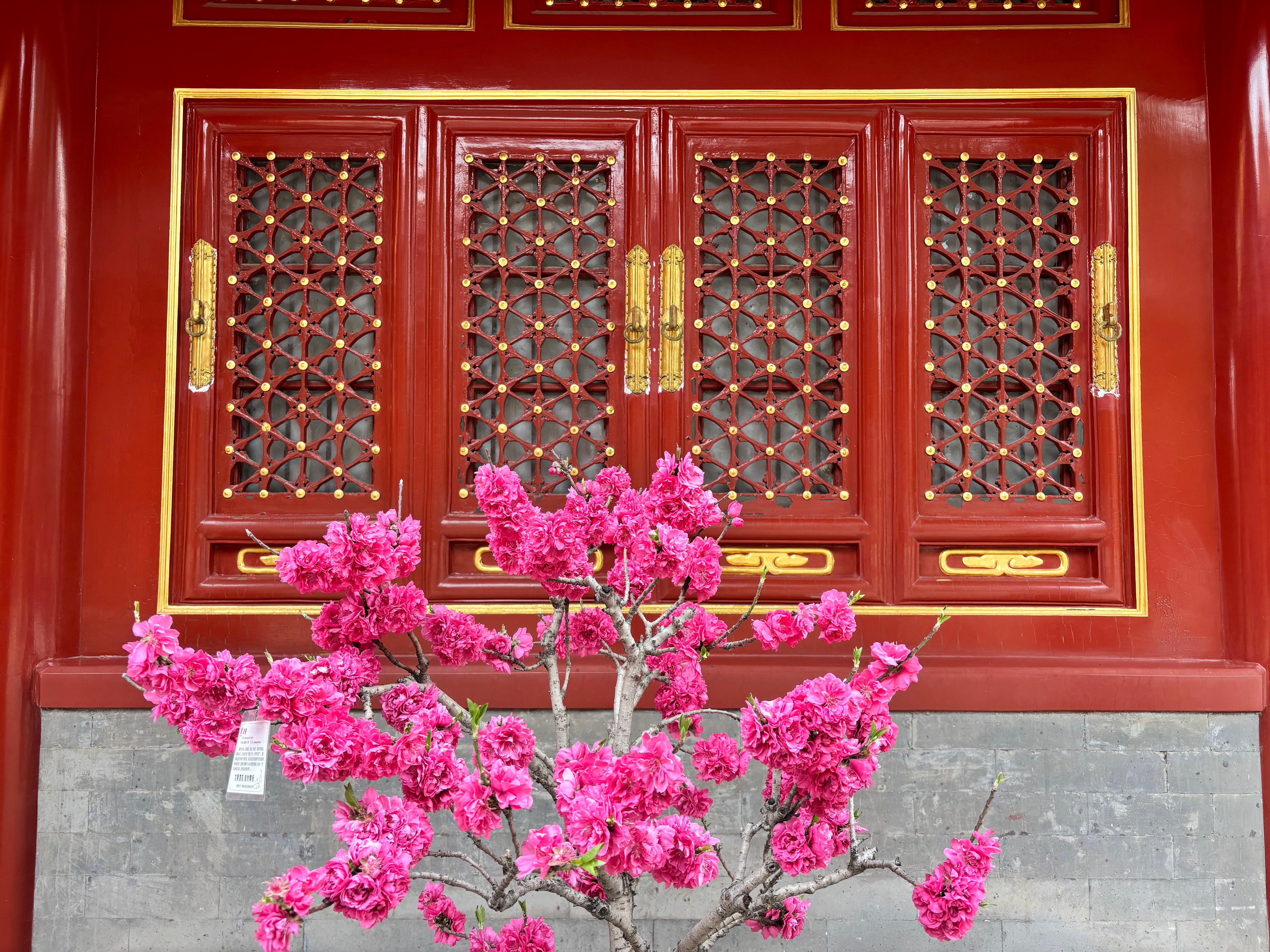 Beijing Private Full-Day Tour: Forbidden City & Mutianyu Great Wall