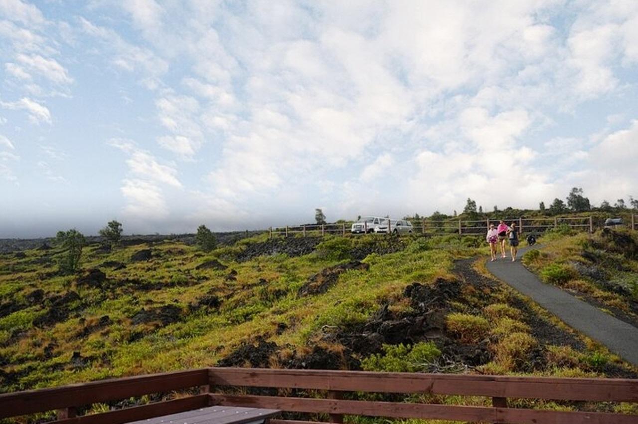 Big Island Hawaii Volcano Day tour from Oahu and Hotel PU — Kilauea and Hawaii Volcanoes National Park scenery (20)