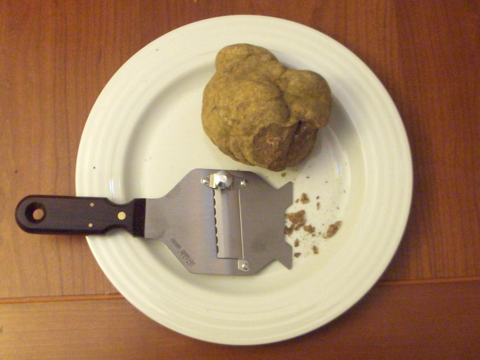 Truffle hunting day trip from Florence Tuscany — image 2