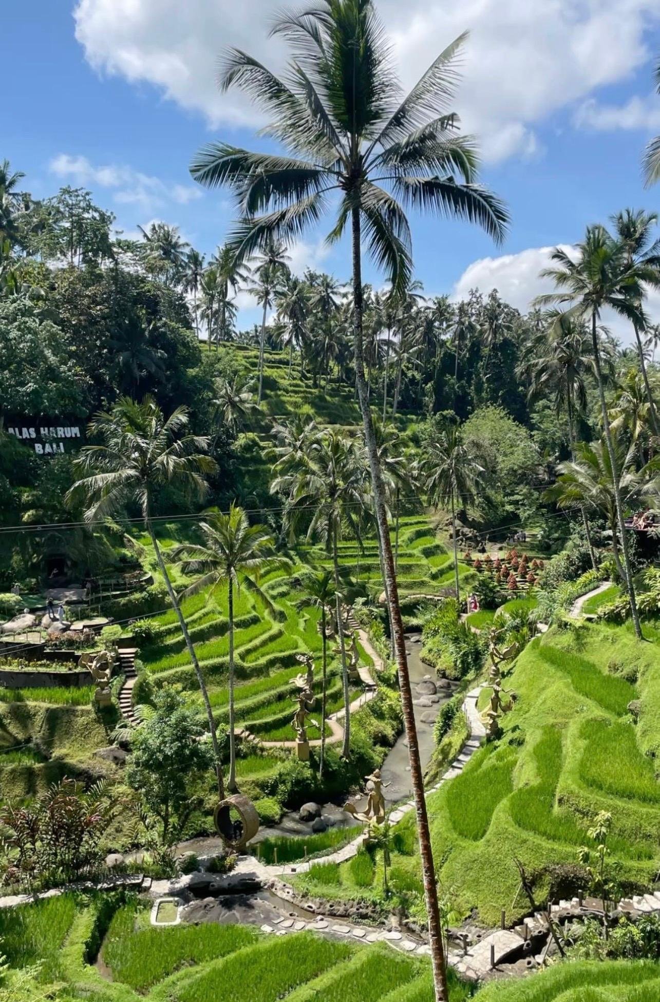 Bali Private Mount Batur Jeep Sunrise Experience