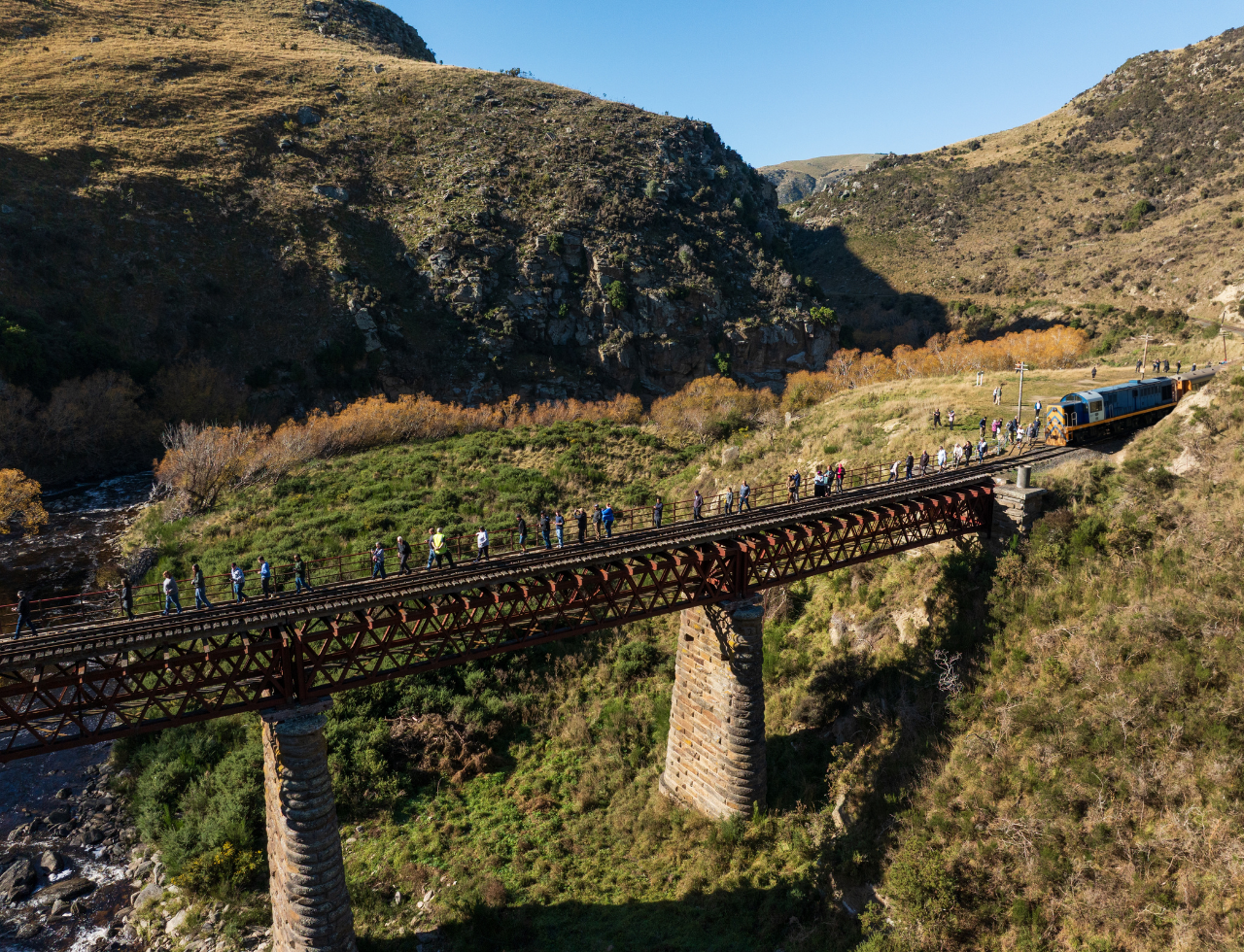 South Island guided tour photo — image 12
