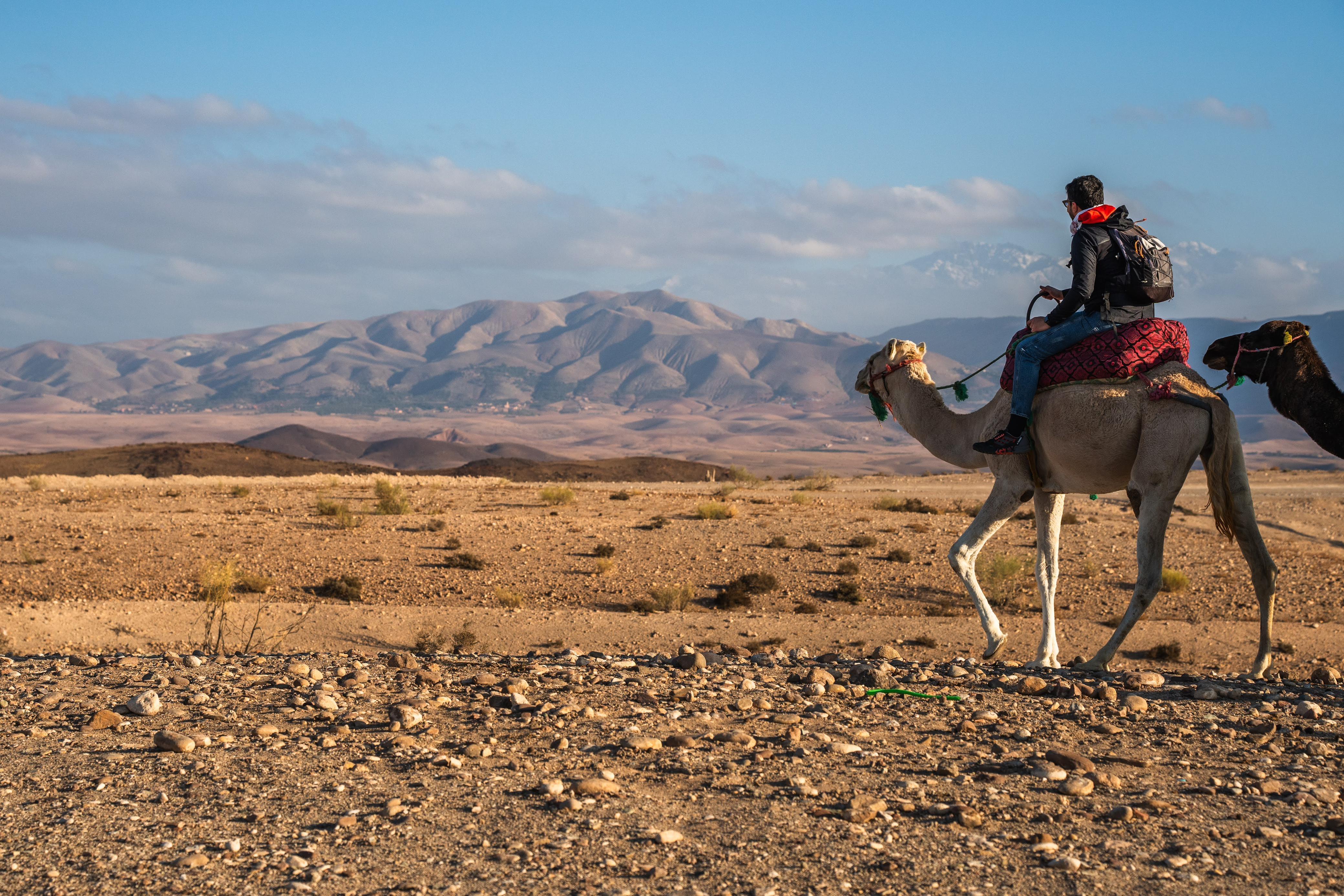 Agafay Desert Sunset, Camel Ride & Berber Dinner Show from Marrakech