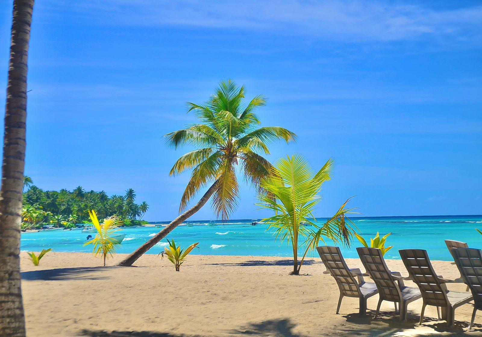 Punta Cana: Saona Island Escape by Catamaran with Lunch & Open Bar