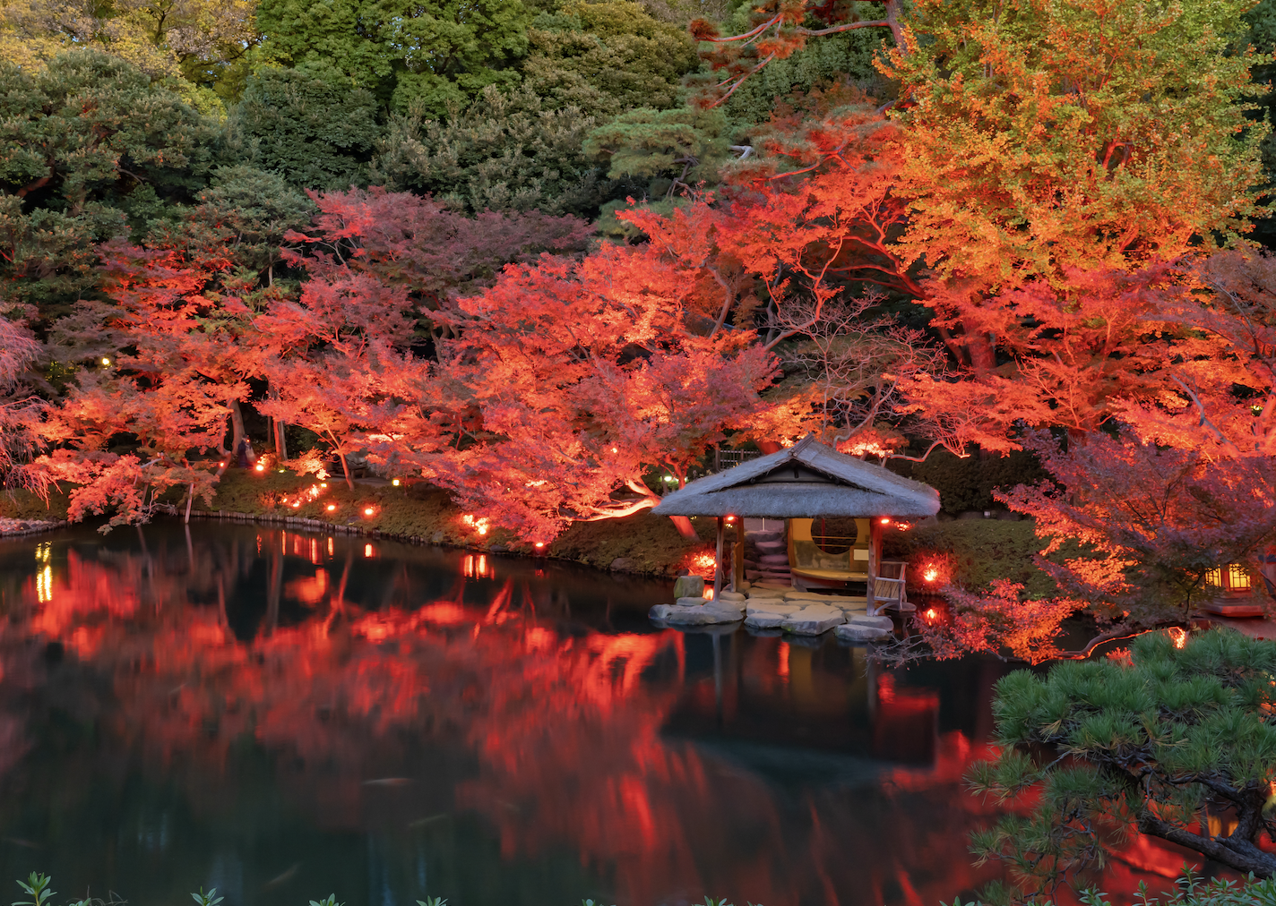 Tokyo: Onsen & Sunset Walk Private Tour – Tattoo-Friendly — Japanese onsen experience photo 4