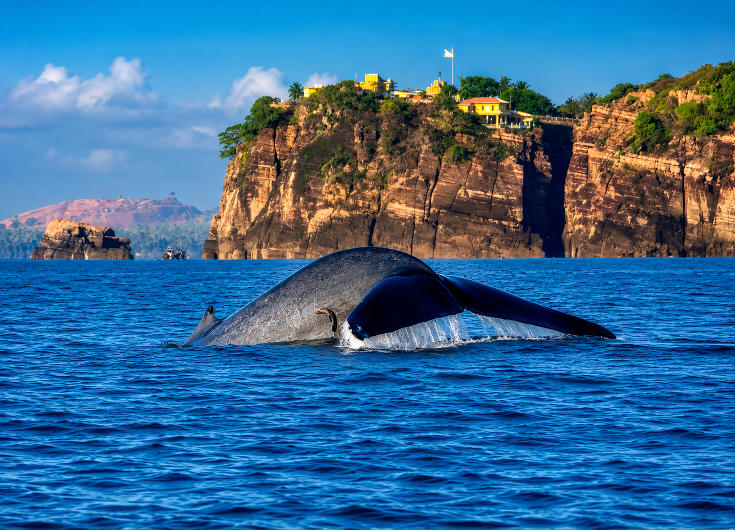Trincomalee Marine Adventure: Whale Watching & Pigeon Island Snorkeling