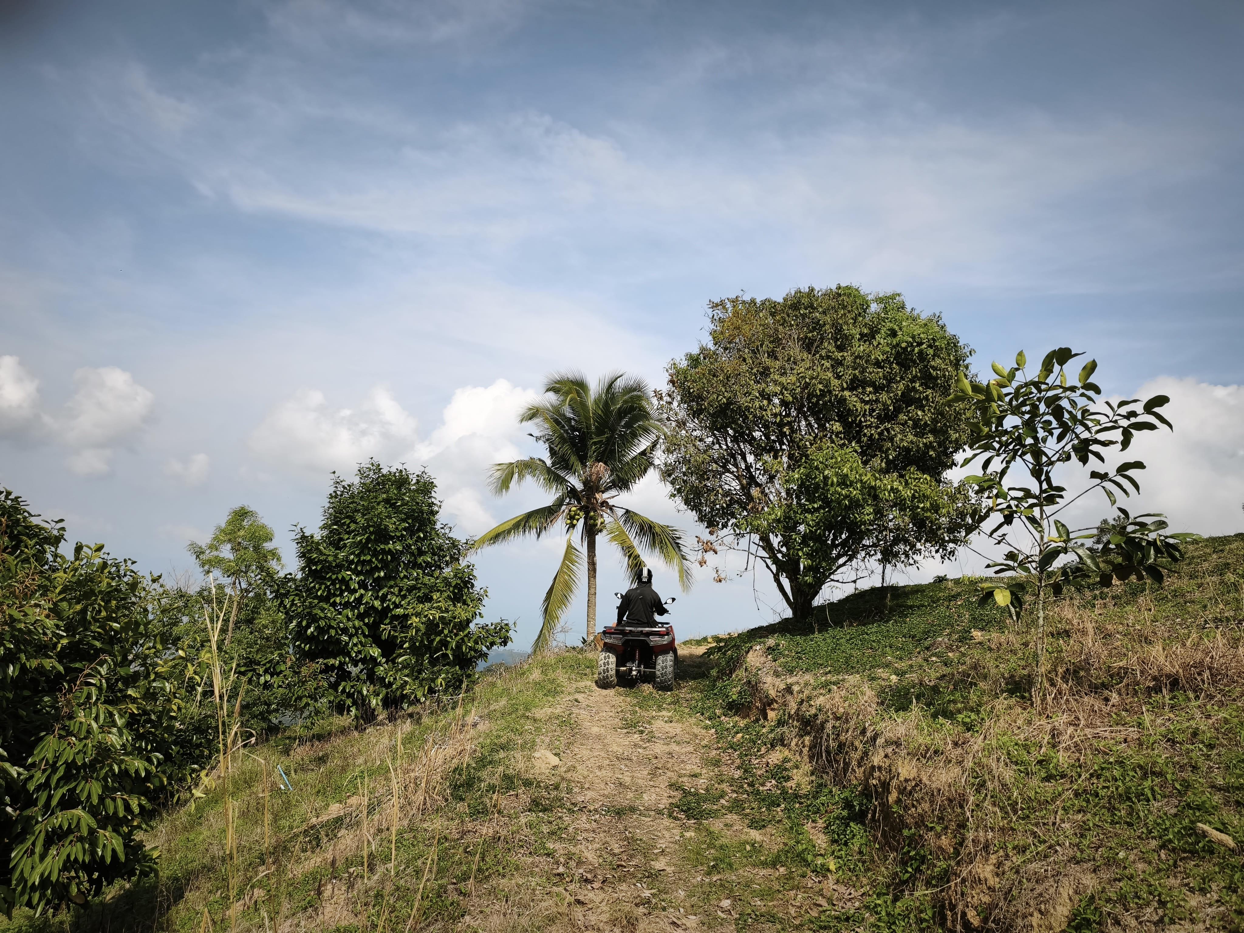Koh Samui Jungle ATV Off-Road Expedition