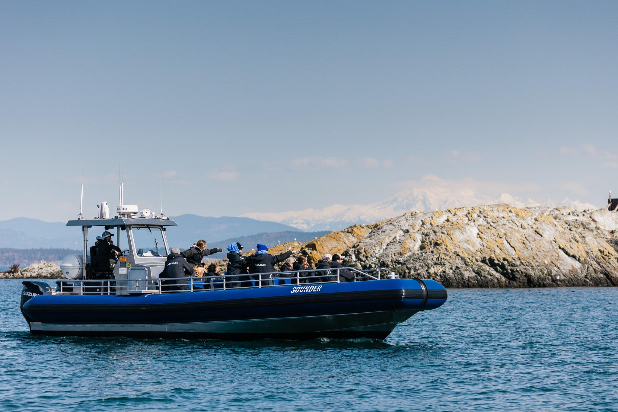 Anacortes Zodiac Whale Watching Expedition