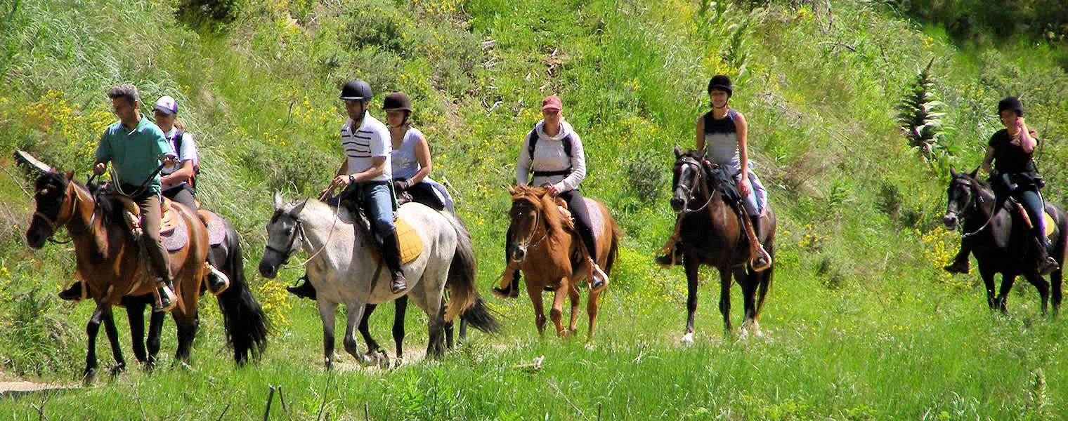 Cappadocia Guided Horseback Trail Ride