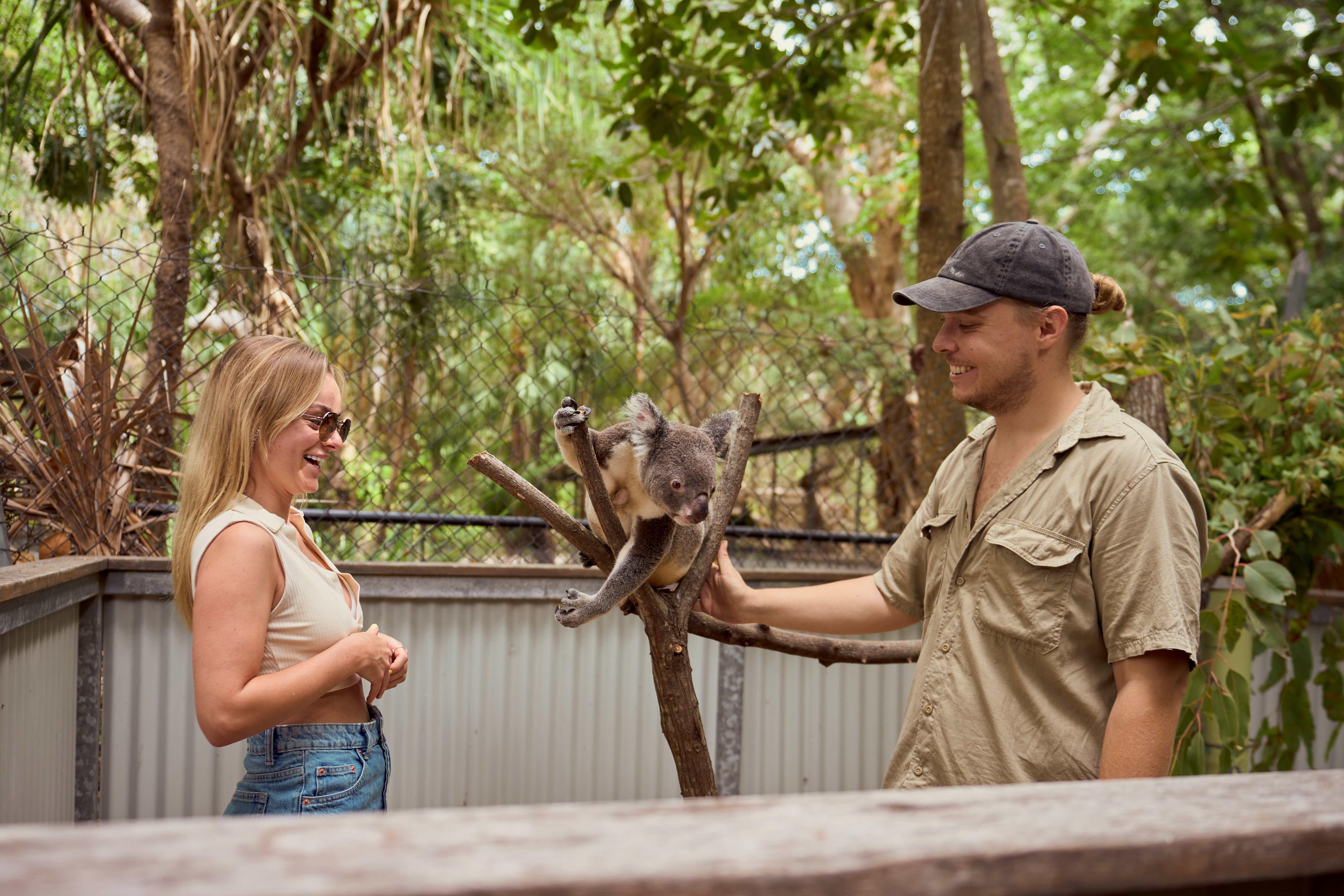 Breakfast with Koalas on Magnetic Island