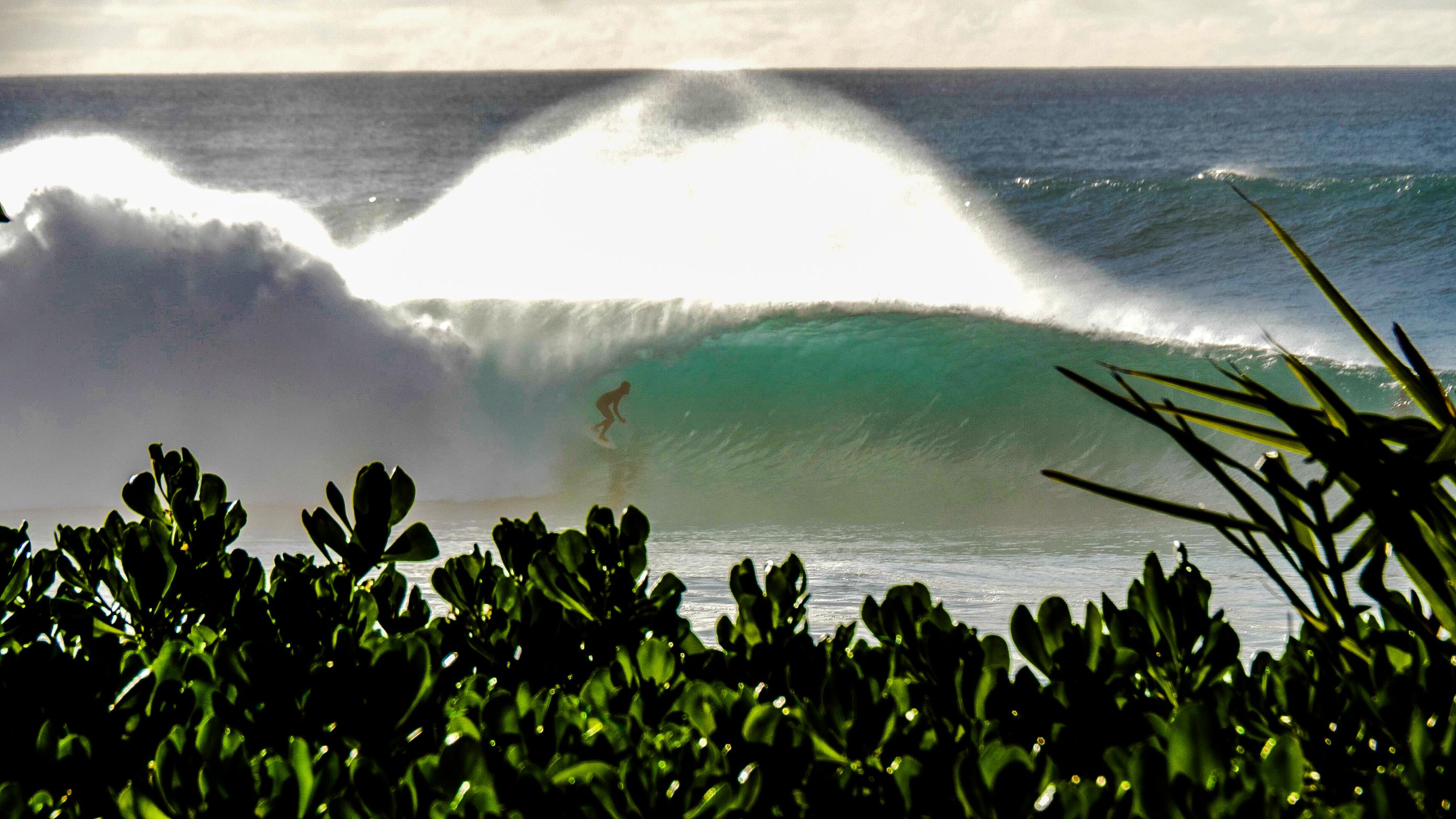 Oahu: Circle Island Tour on a full day or two half days - 2026 (Verified Reviews)