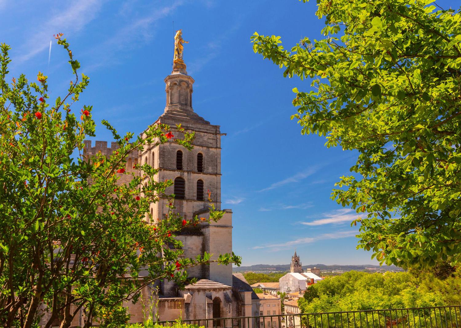60-Minute Local's Walking Tour of Avignon