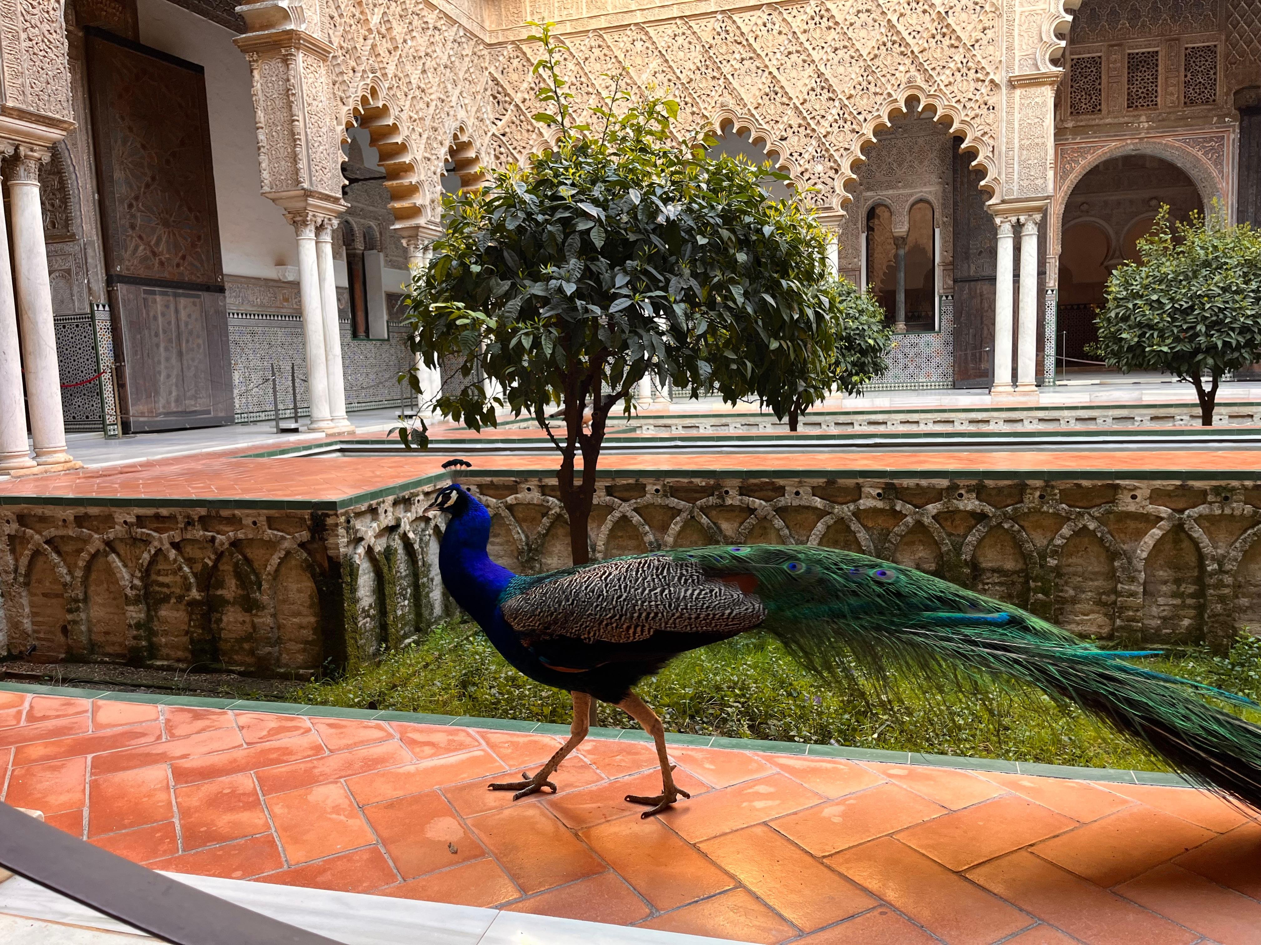 Private Seville Alcázar Tour: A French Royal Perspective