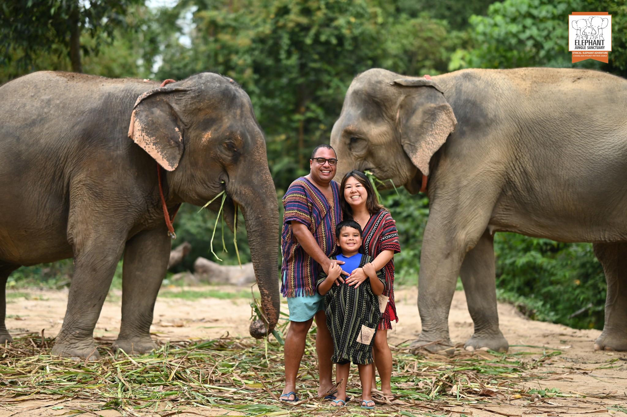 Koh Samui Elephant Sanctuary Visit & Feeding Experience