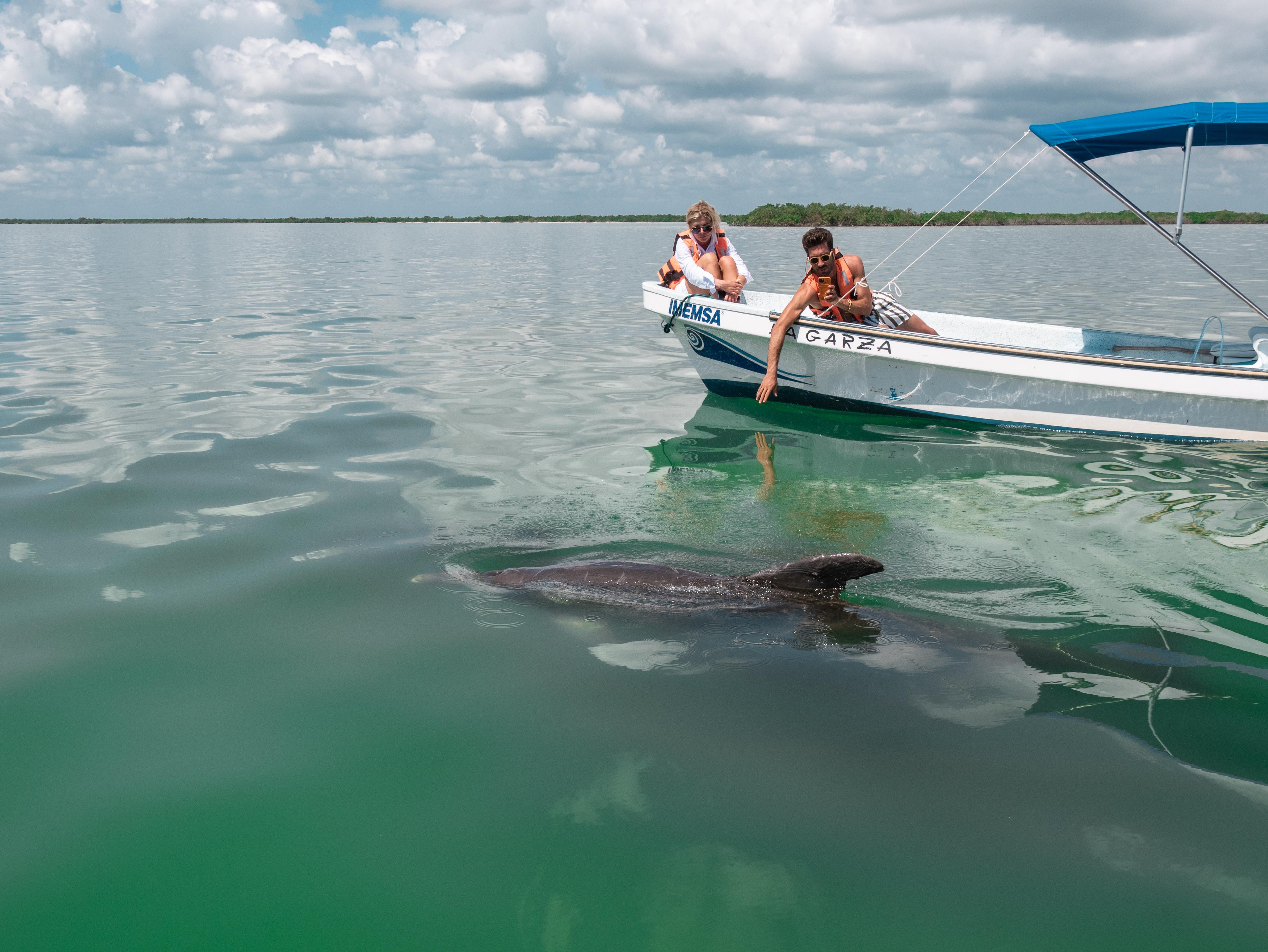 Sian Ka'an Reserve: Dolphins, Turtles & Snorkeling Day Trip