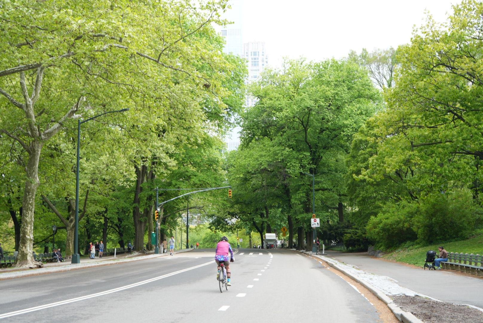 Central Park Exploration by Pedicab or Carriage