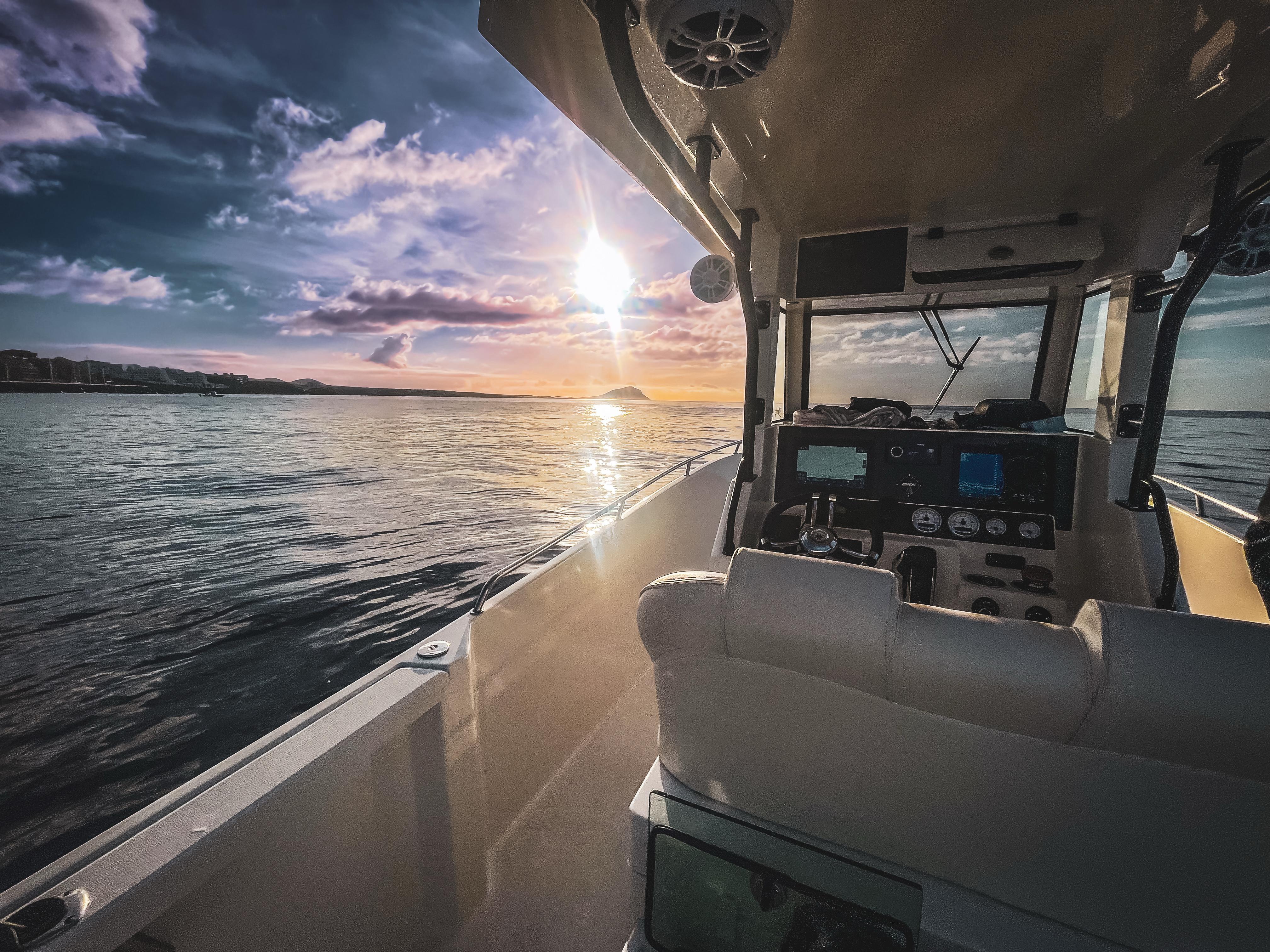 Whale Watching Adventure on Fast Boat