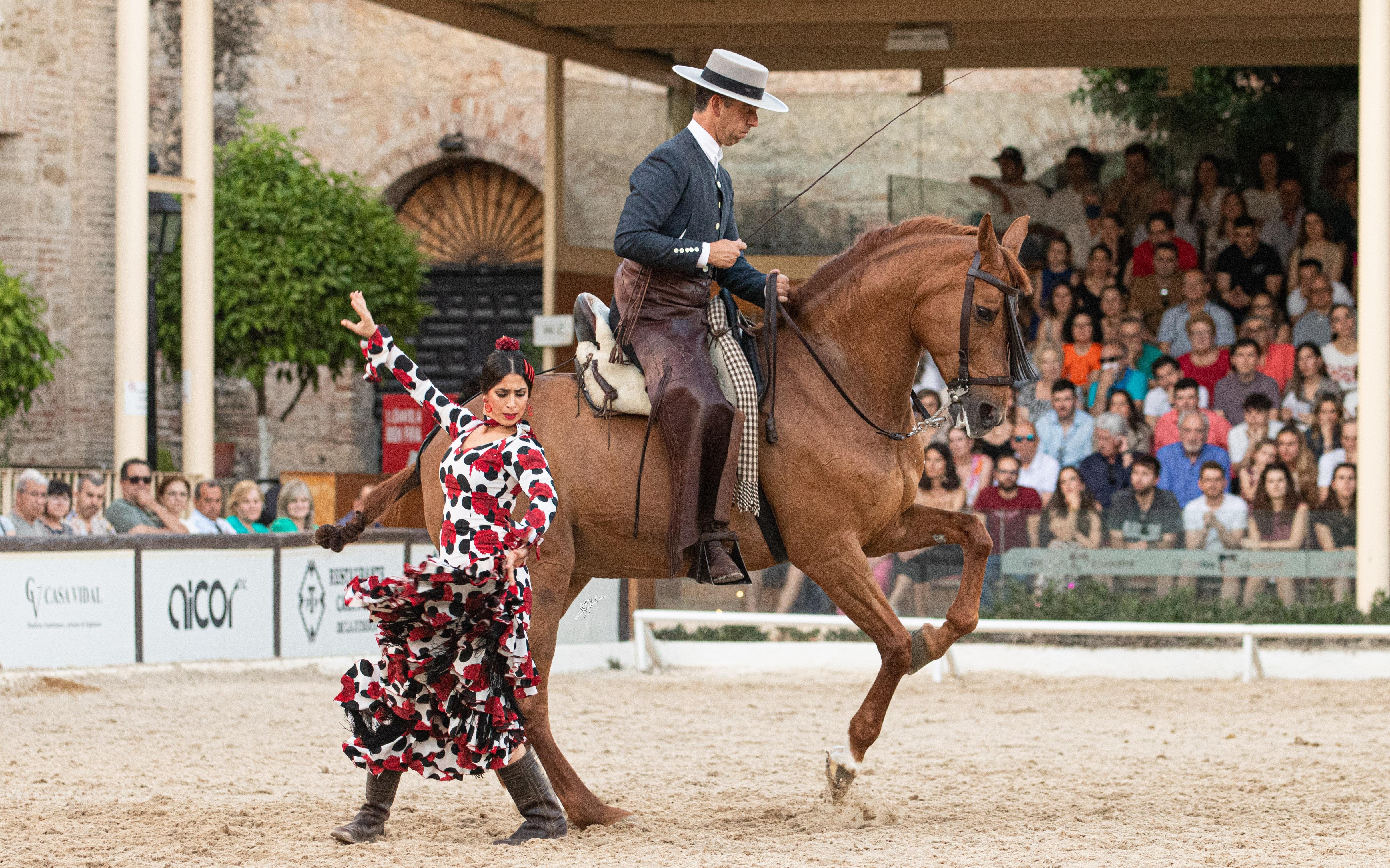 Equestrian Show at Cordoba's Royal Stables