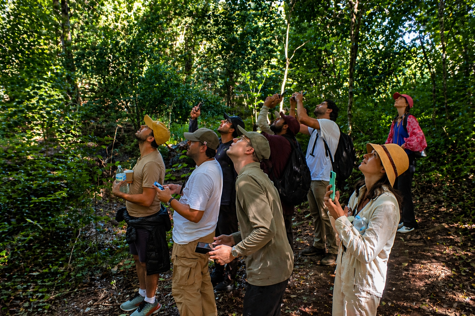 Private Calakmul Jungle & Ruins Experience from Bacalar