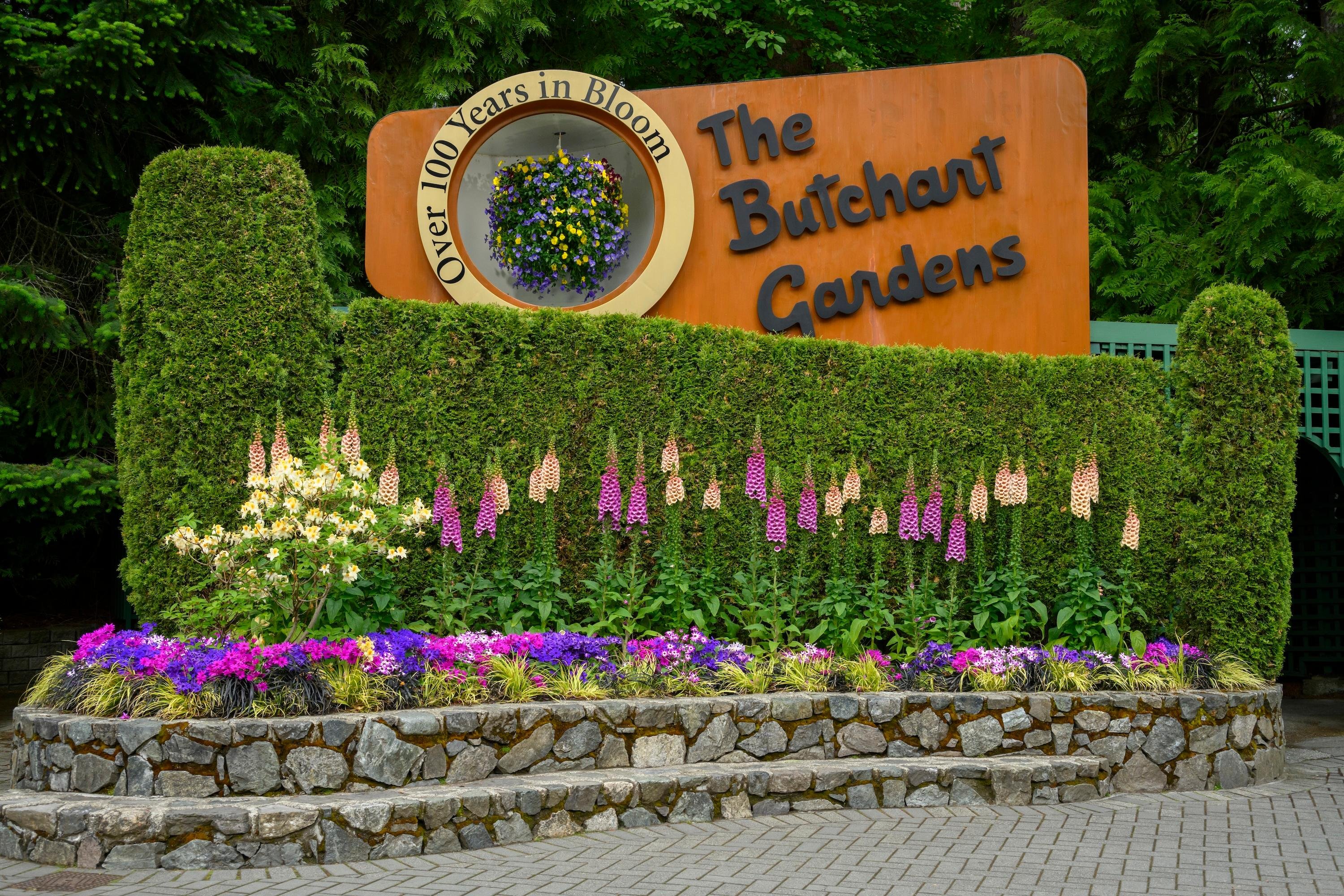 From Vancouver: Victoria Tour with Ferry & Butchart Gardens — Vancouver to Victoria crossing, image 4
