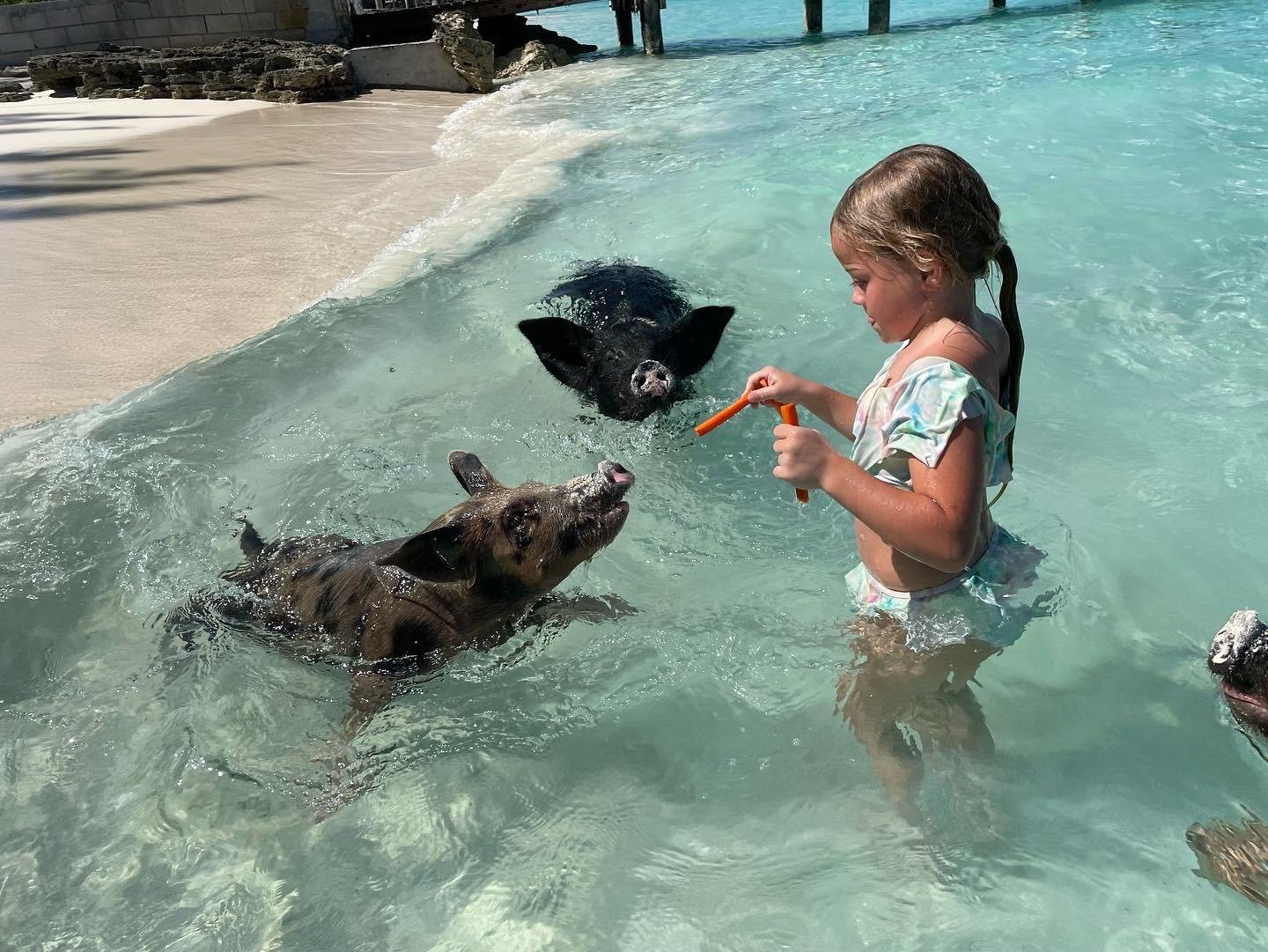 Swimming Pigs & Turtle Snorkeling Adventure