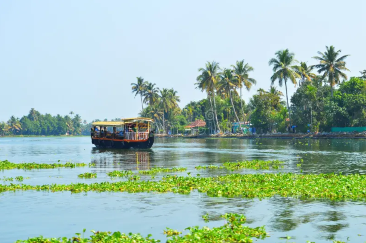 Alleppey Backwaters: Private Shikara Boat & Village Exploration
