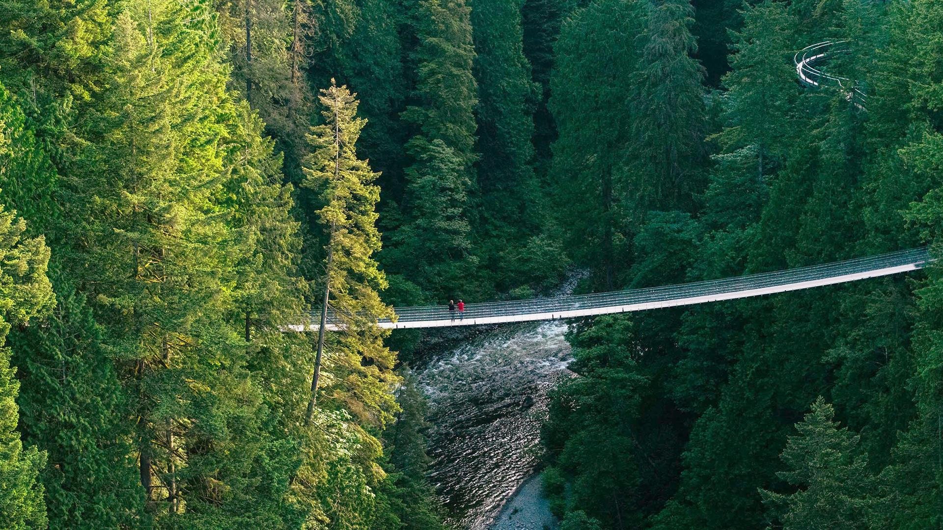 Capilano Suspension Bridge Park Entry