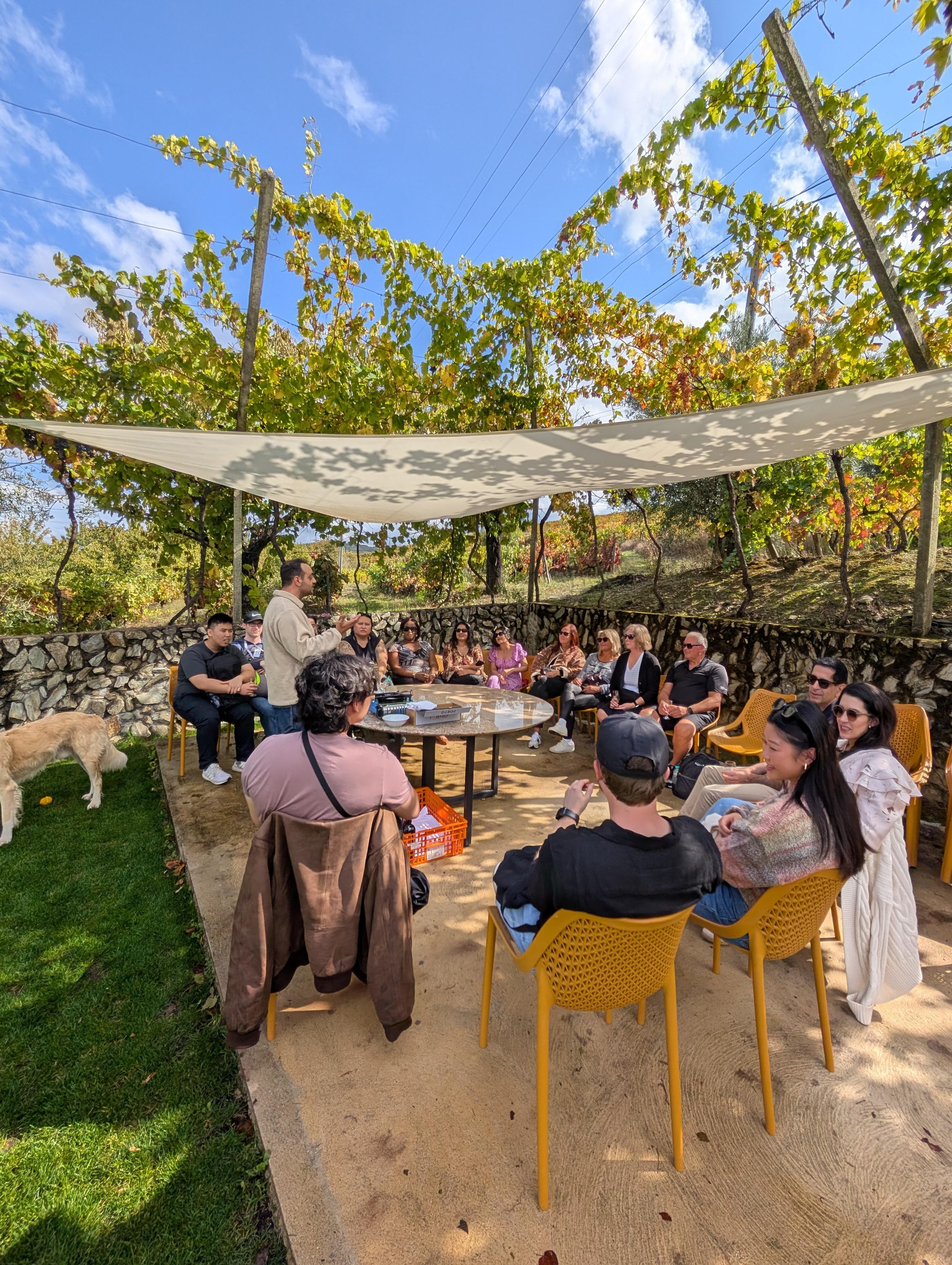 Porto: Douro Valley & Vinho Verde Day Tour with Tastings, Lunch & Boat Cruise