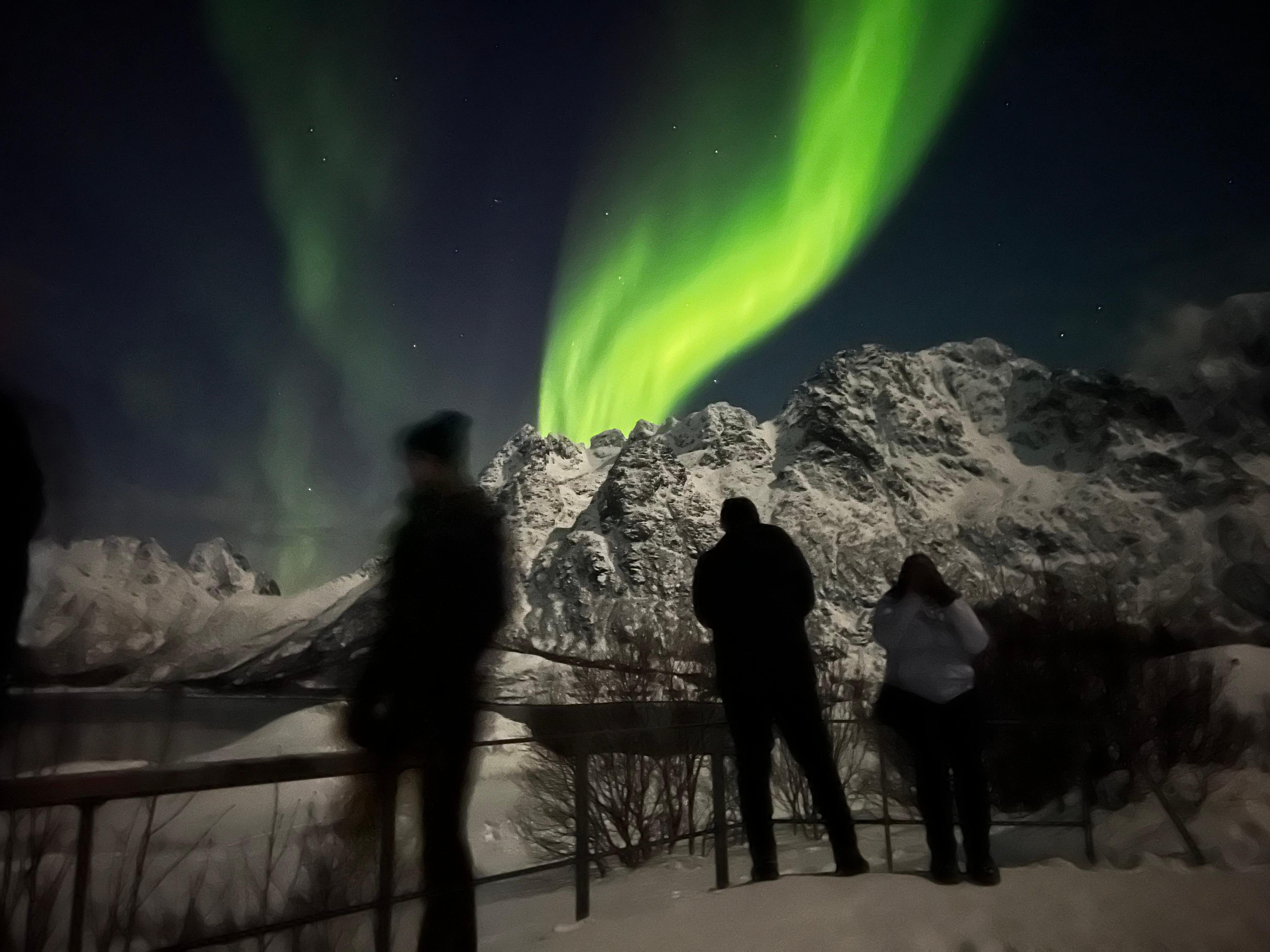 Lofoten: Small-Group Northern Lights Hunt by Minibus/Bus