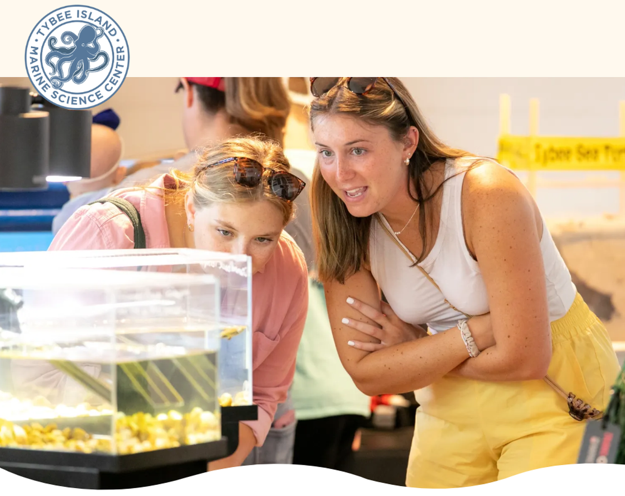 Tybee Island Marine Science Center Admission