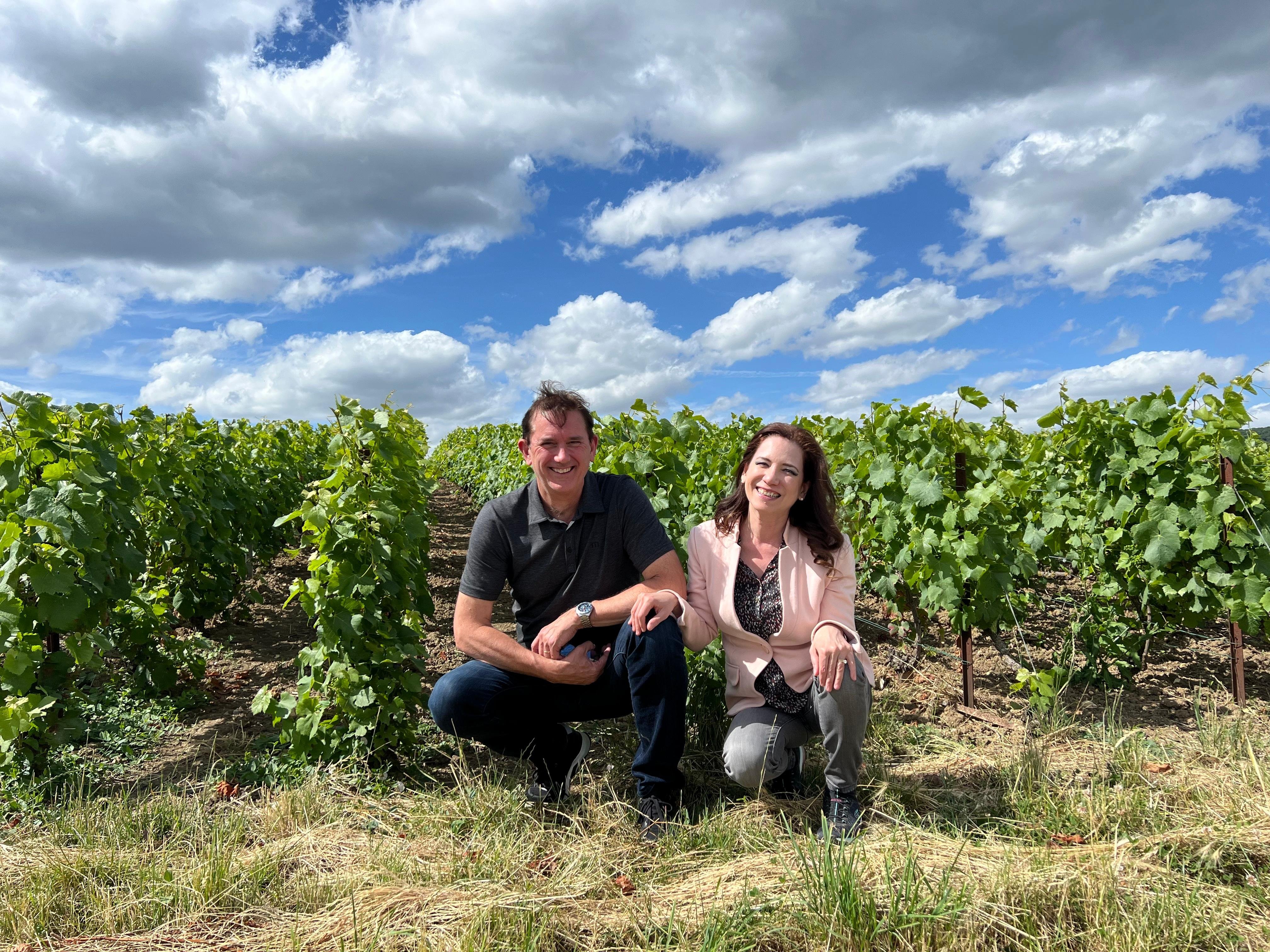 From Reims/Epernay: Private Gold Champagne Tasting Tour